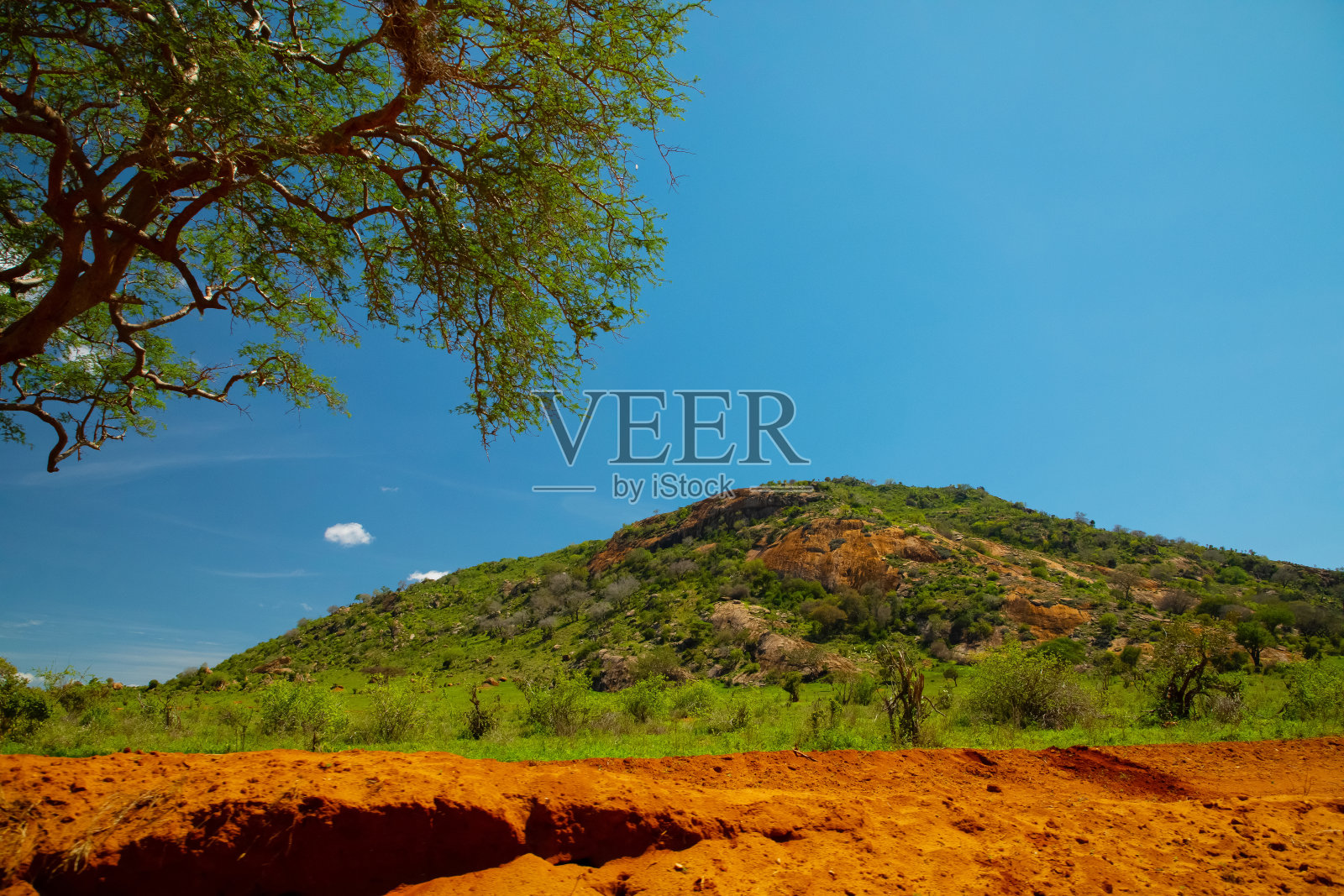 美丽的草原景色,红色粘土路,非洲风景和动物在肯尼亚照片摄影图片