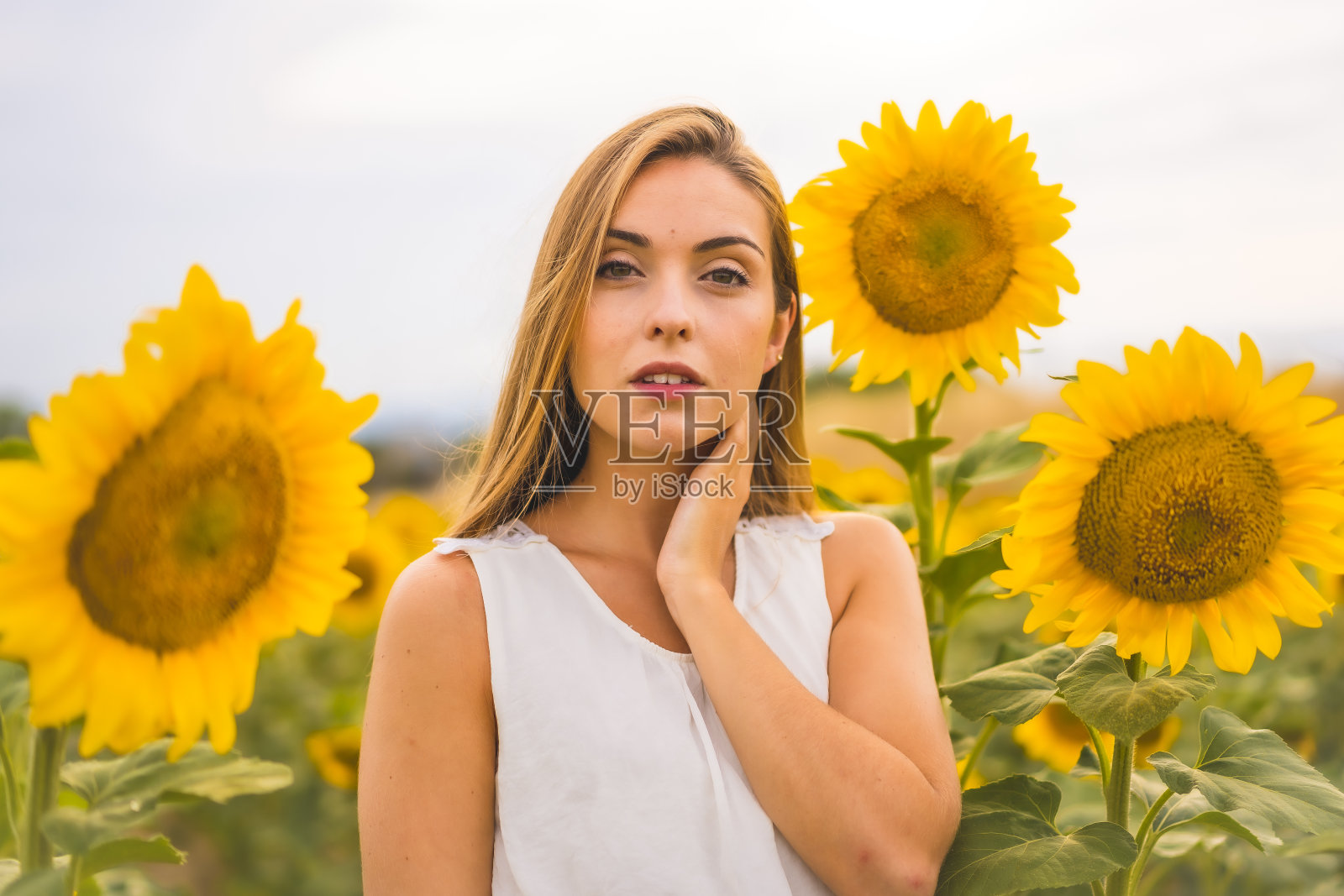 一个漂亮的白人金发女郎的肖像在向日葵的田野里穿着白色的裙子,带着诱惑的目光照片摄影图片