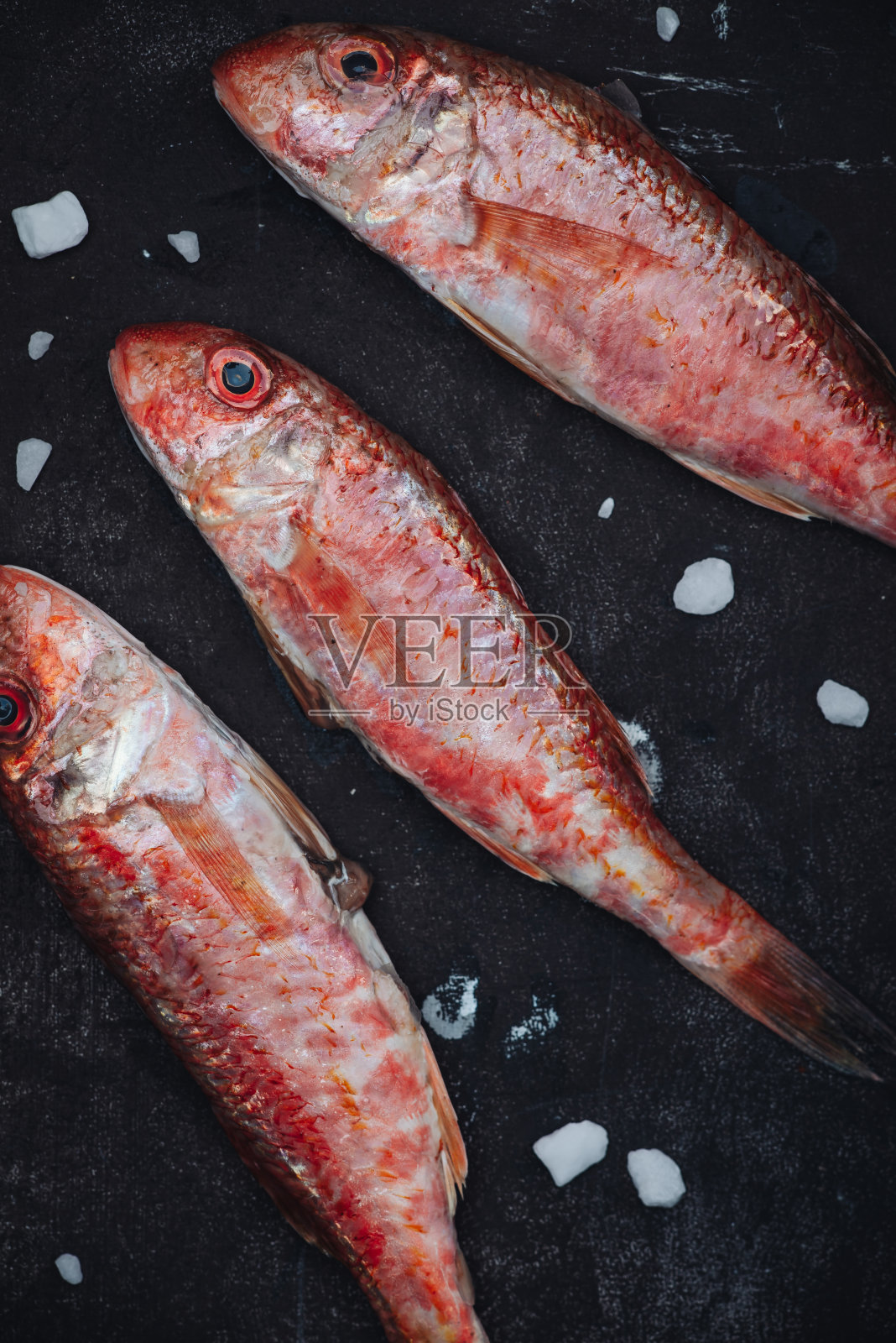 鲜嫩的红鲻鱼照片摄影图片