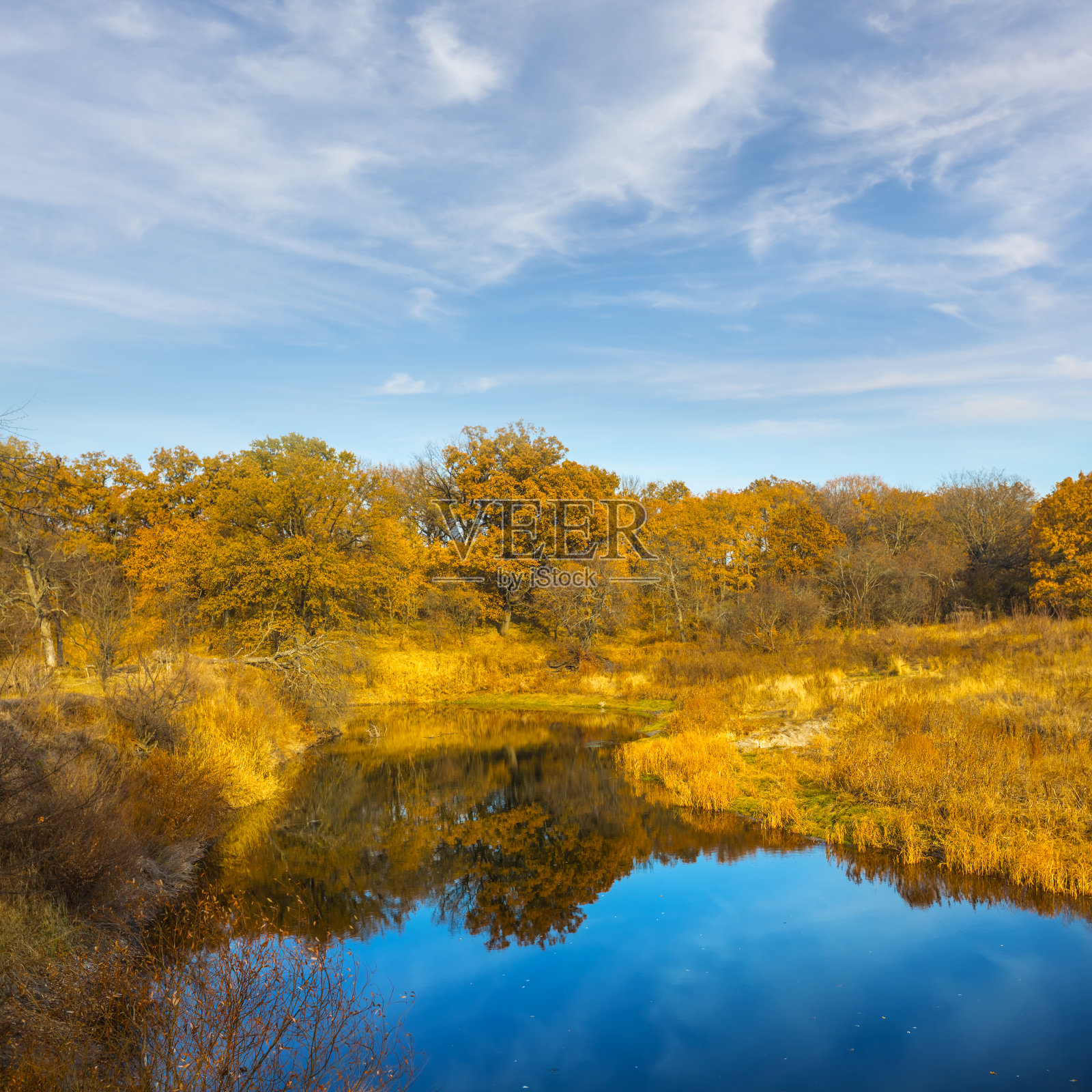 秋天森林中的一条宁静的河流照片摄影图片