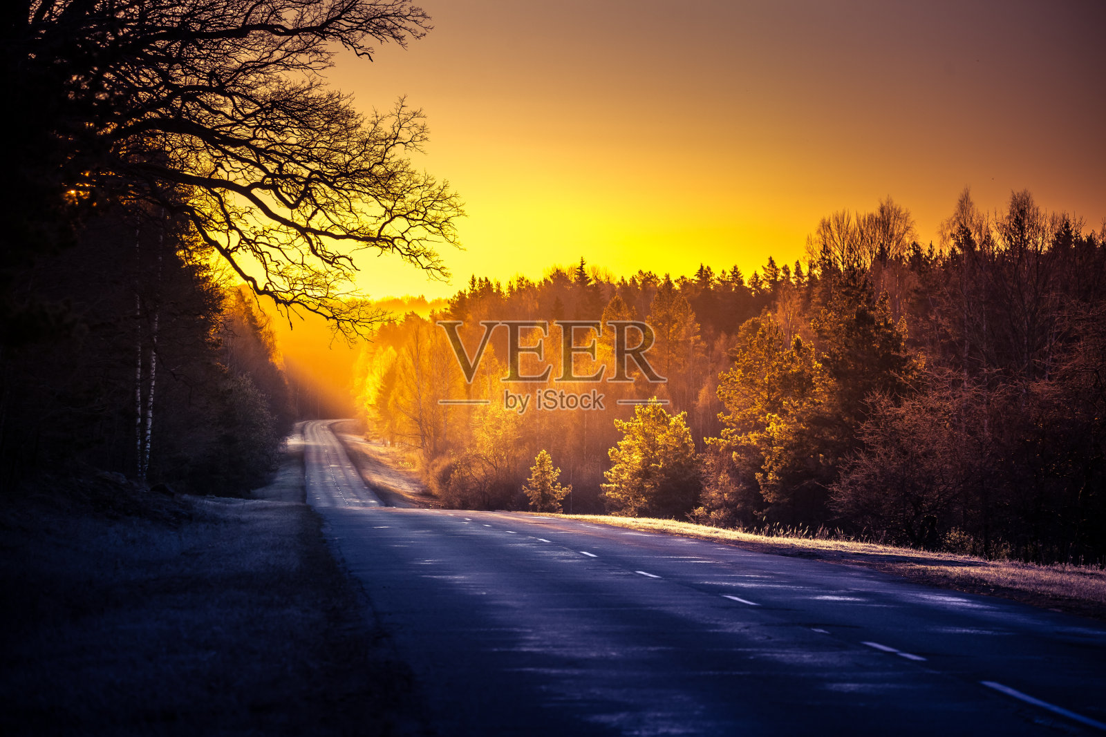 这是一幅美丽的风景,在薄雾缭绕的晨曦中有一条乡间小路。春天路上的晨光。照片摄影图片