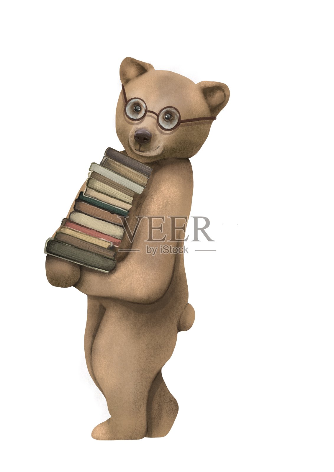 熊抱着书读时间插画图片素材