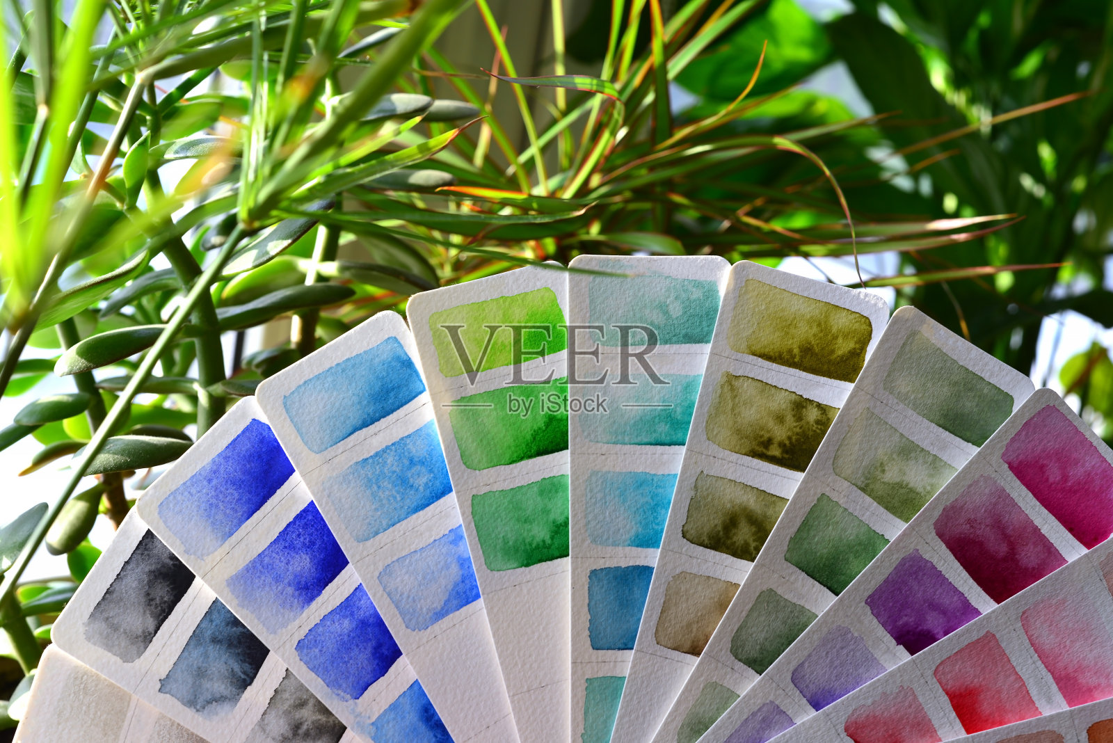 半圆形的扇形调色板,在绿色植物中有蓝色、红色、绿色的花。照片摄影图片