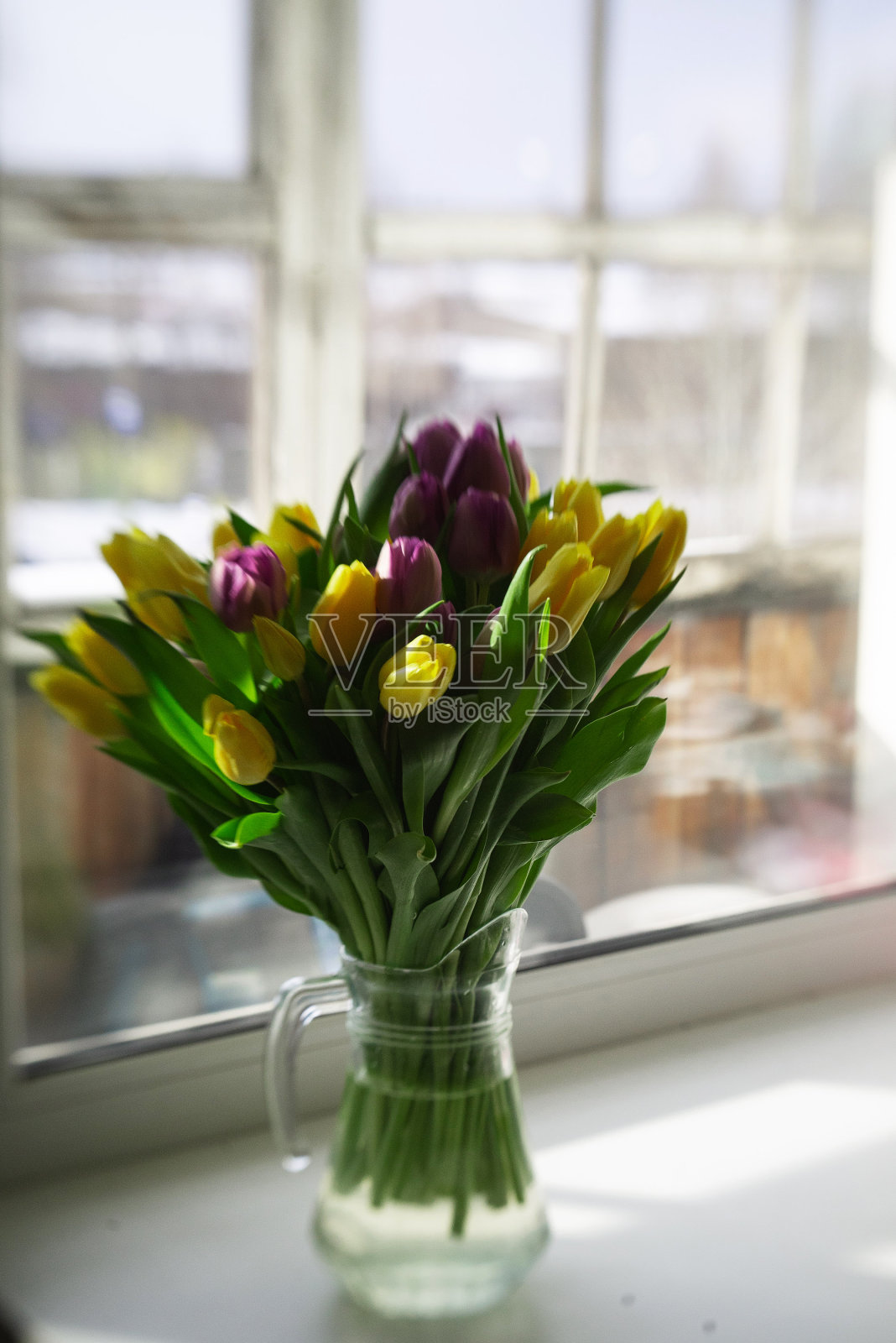 背景:一束紫色的郁金香上的灰色,春天的概念,节日,母亲节。照片摄影图片