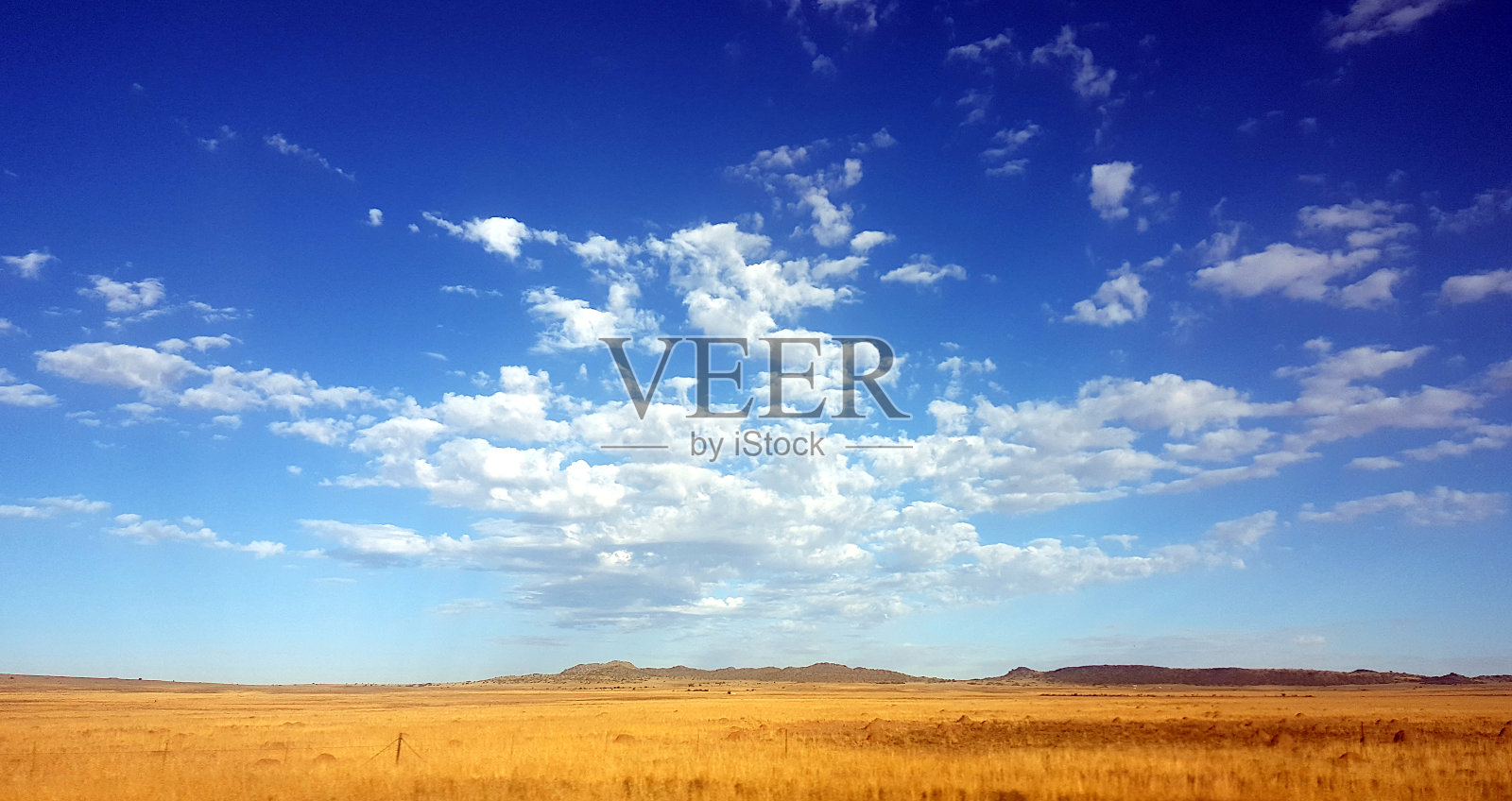 蓝色和黄色照片摄影图片