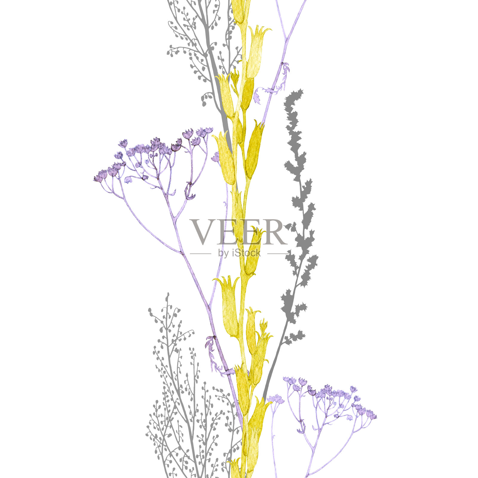 无缝垂直边缘干野花枝。水彩植物标本室的图案。设计包装,管道胶带,透明胶带,织物,纸张,框架,墙纸,纺织品。手绘。插画图片素材