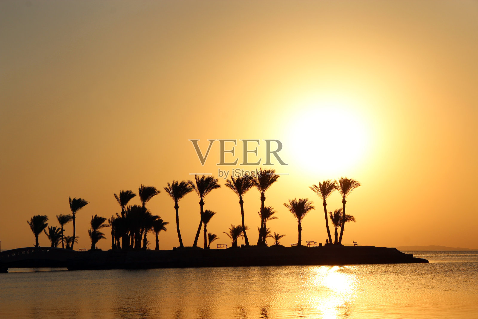 热带岛屿棕榈树剪影,夏日海滨风光照片摄影图片