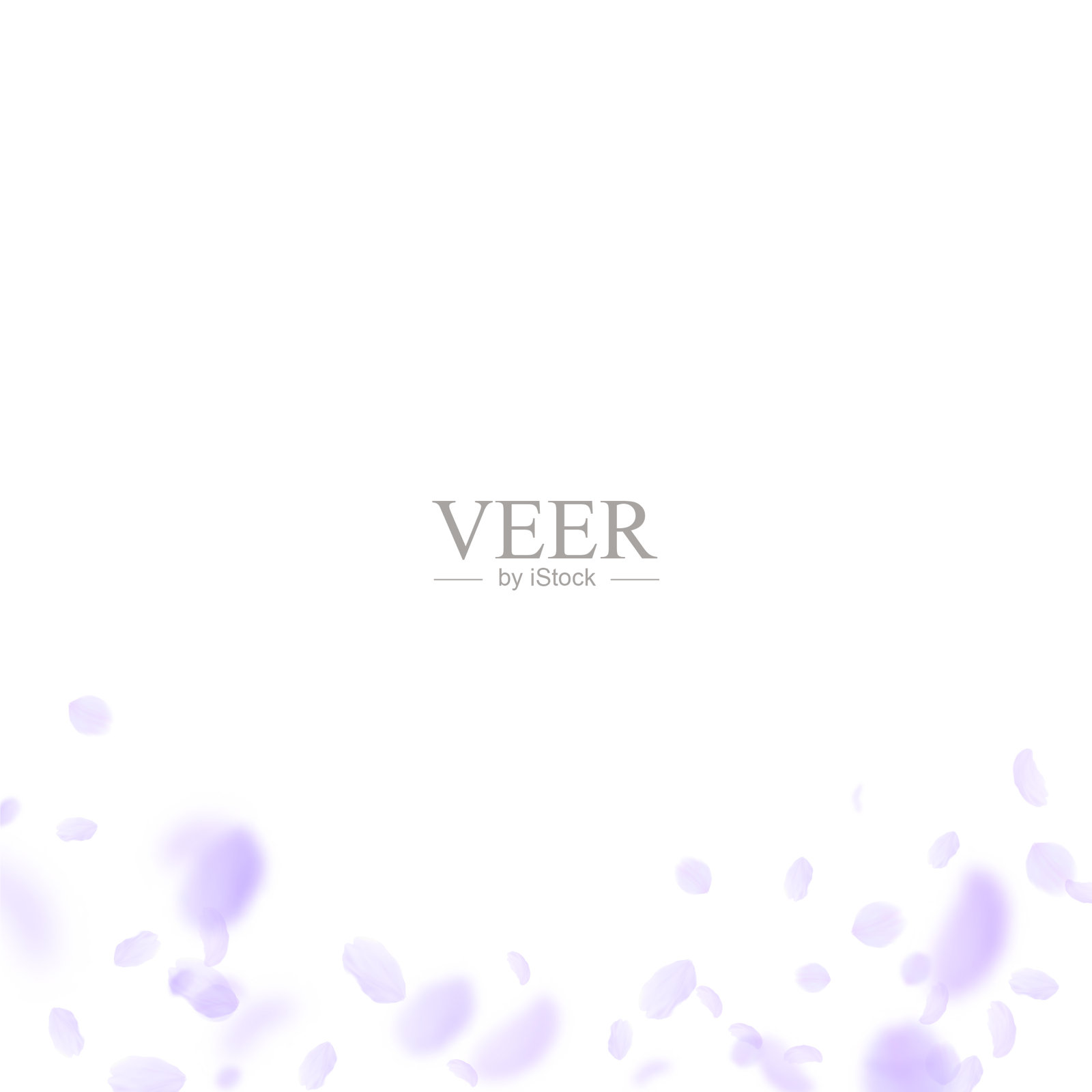 紫罗兰花瓣飘落,奇妙的罗马插画图片素材