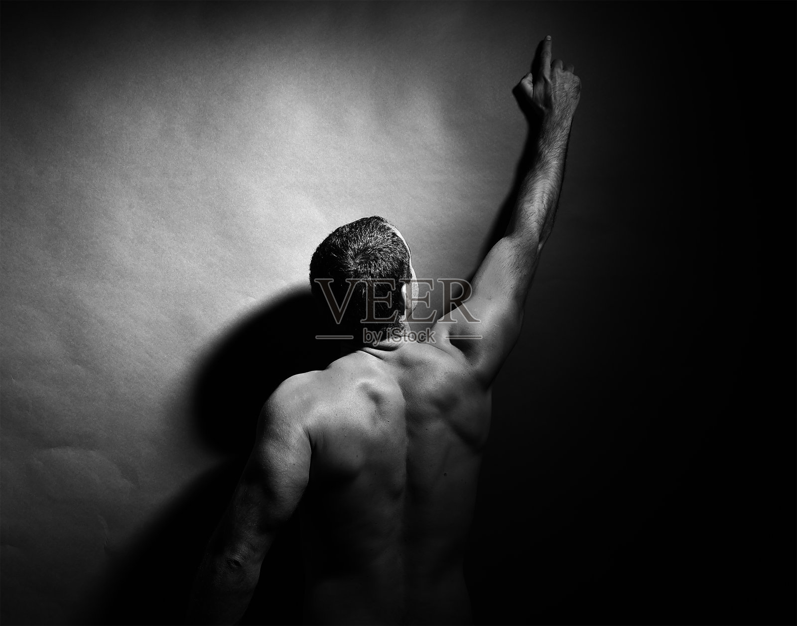 阴影下的强者照片摄影图片