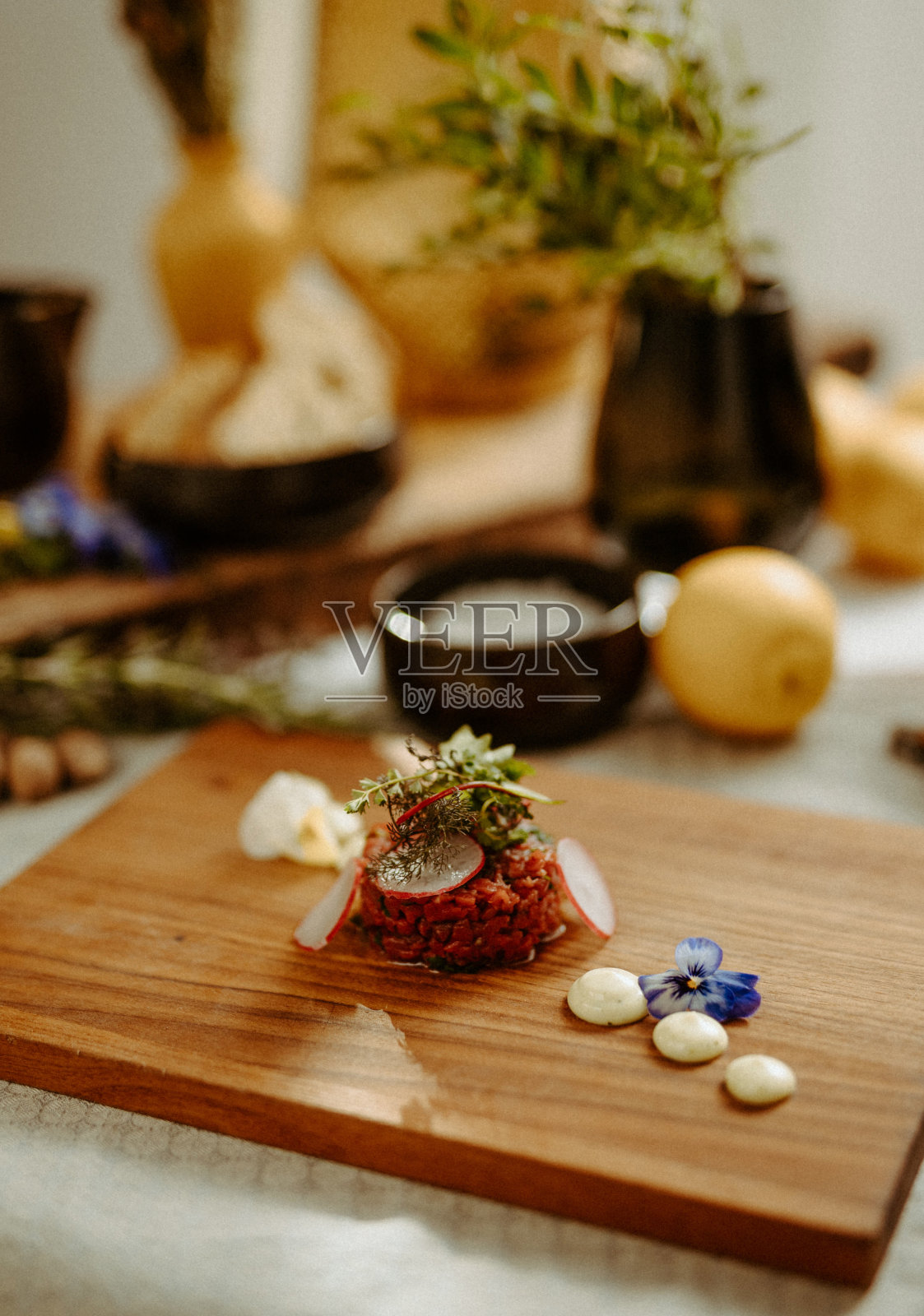 《意大利地中海》第二部分,兰格等人著照片摄影图片