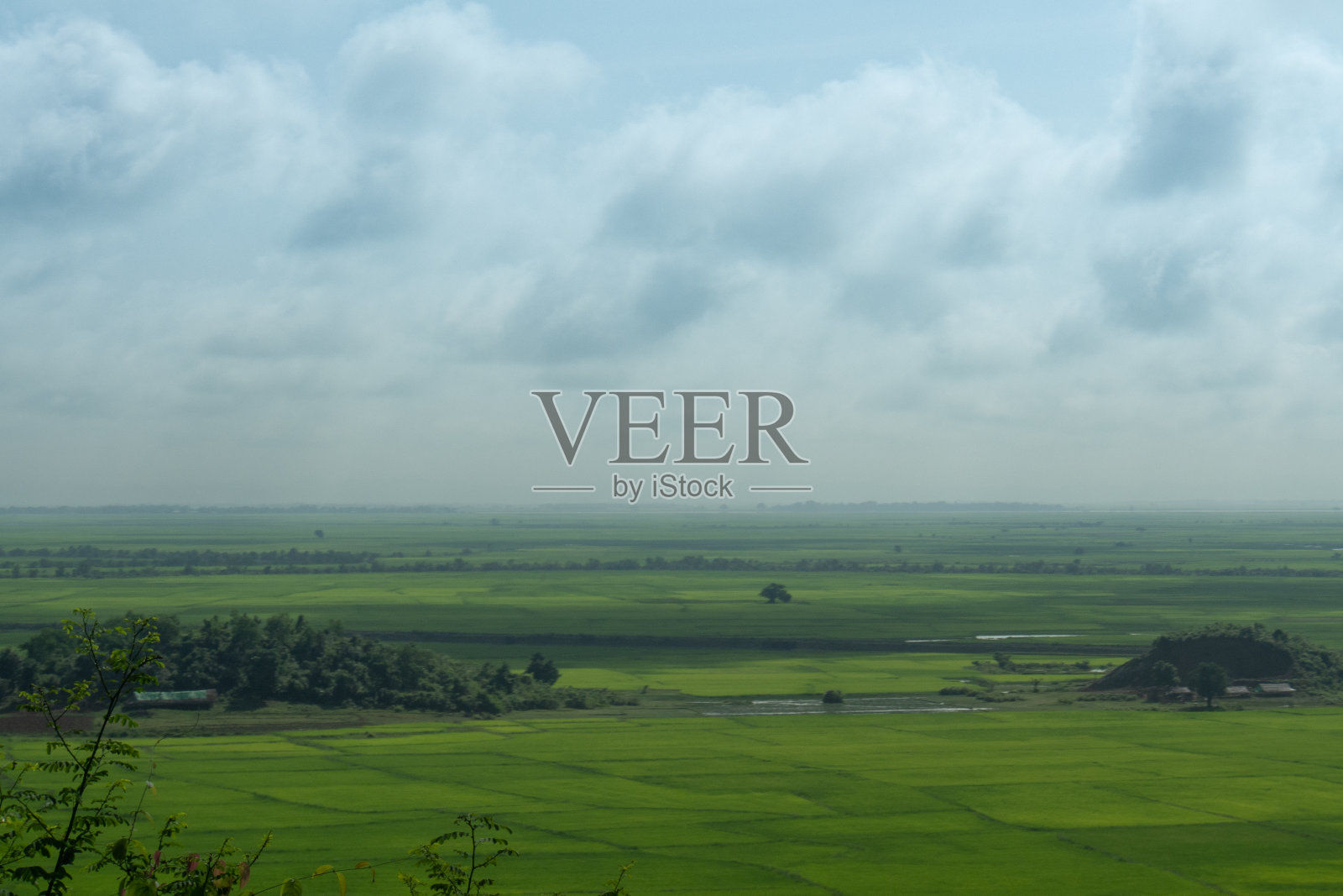 美丽的稻田景观在缅甸若开邦照片摄影图片