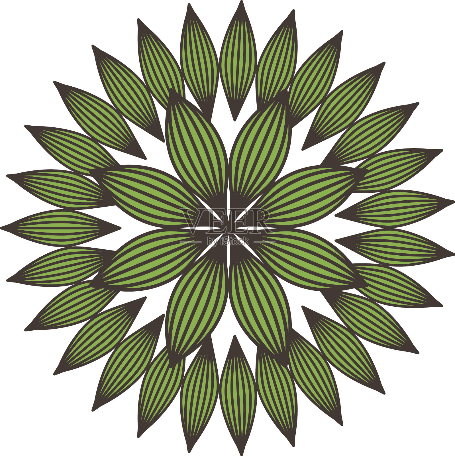 叶植物自然圆形装饰插画图片素材