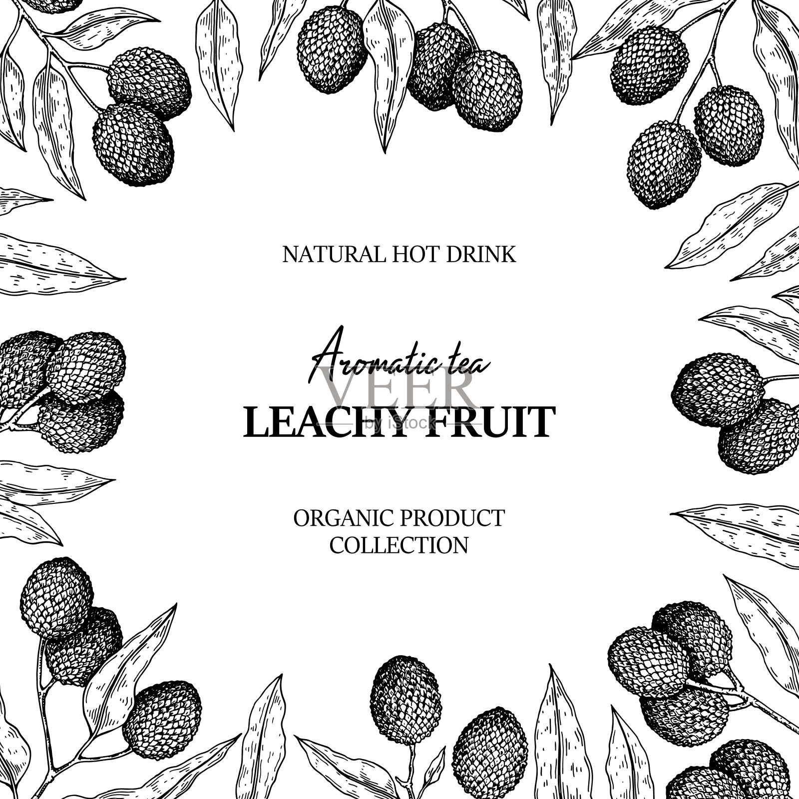 手绘荔枝设计包装,横幅,广告,通讯。矢量插图在素描风格插画图片素材