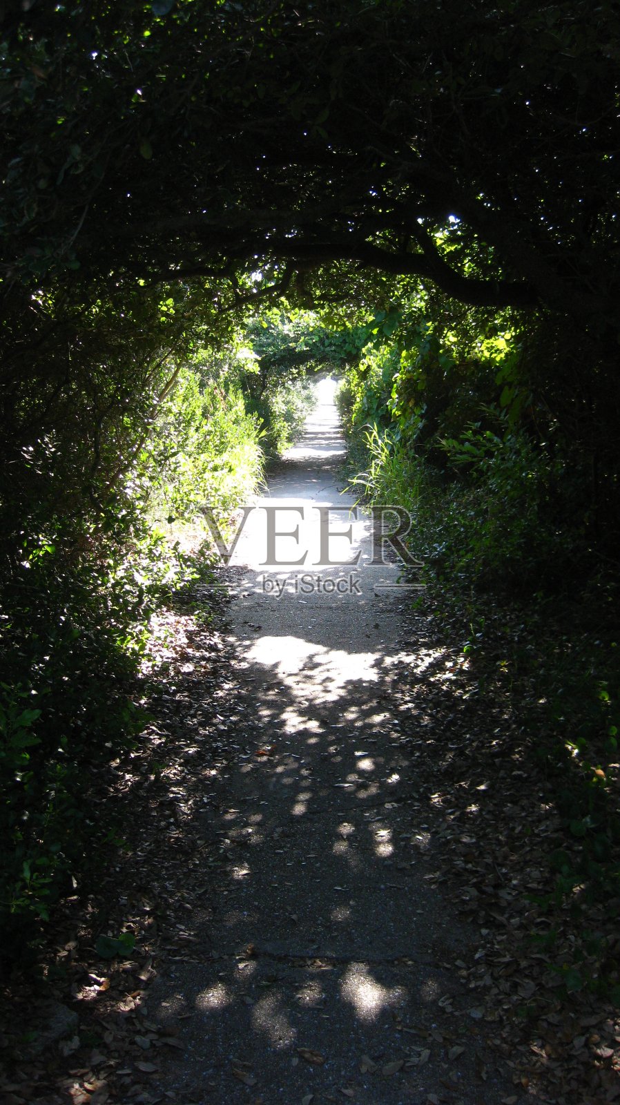 北卡罗莱纳州的外滩照片摄影图片