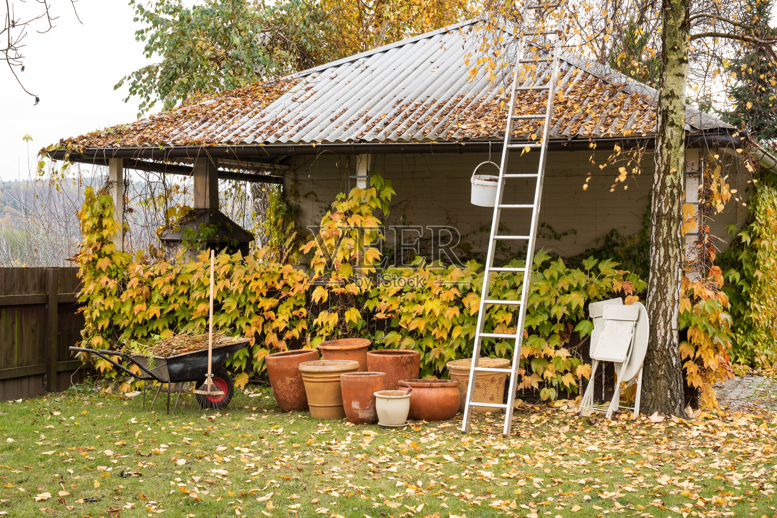 秋季清理园艺工具和花盆照片摄影图片