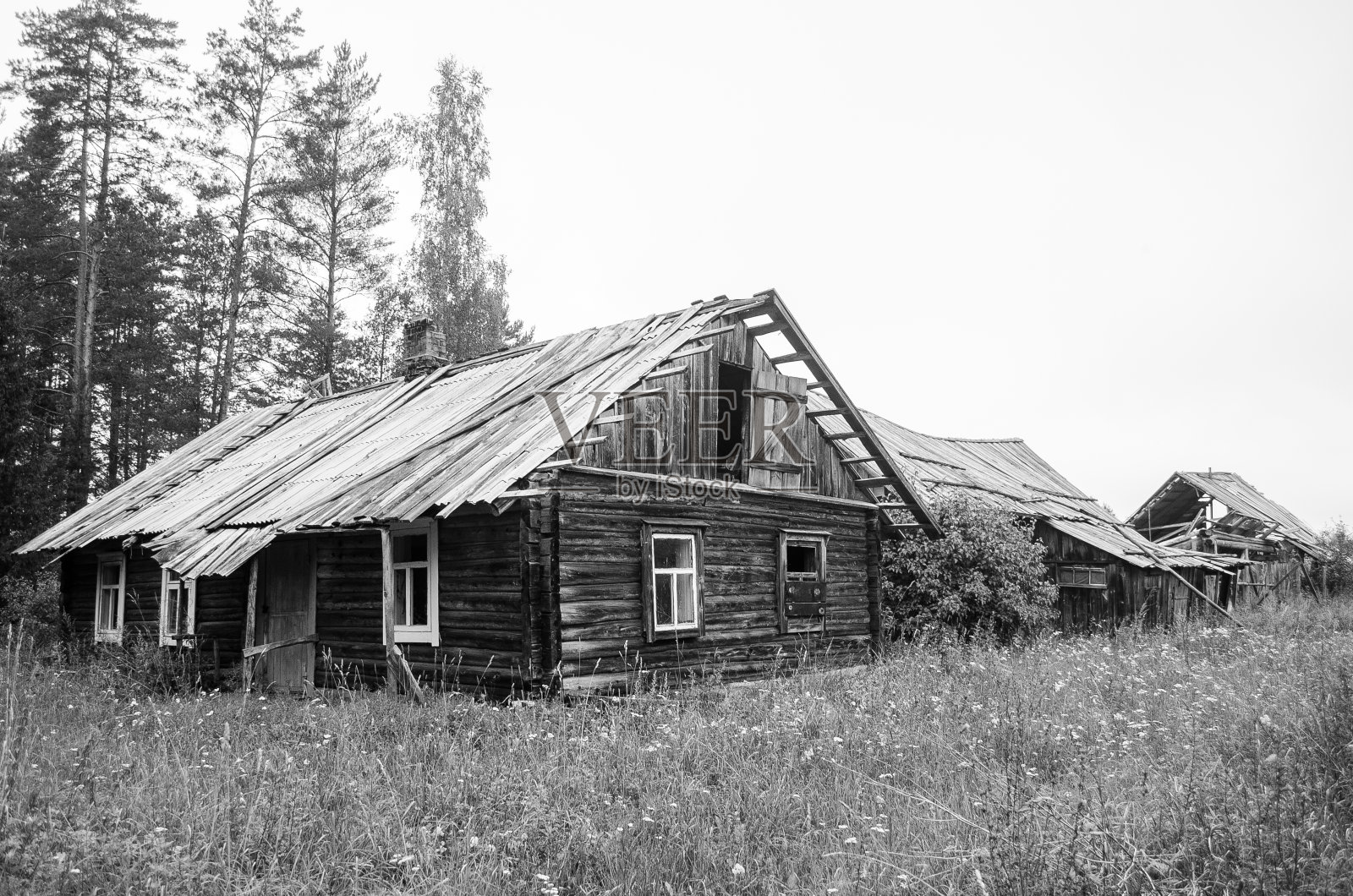 废弃的旧木屋,拉脱维亚照片摄影图片