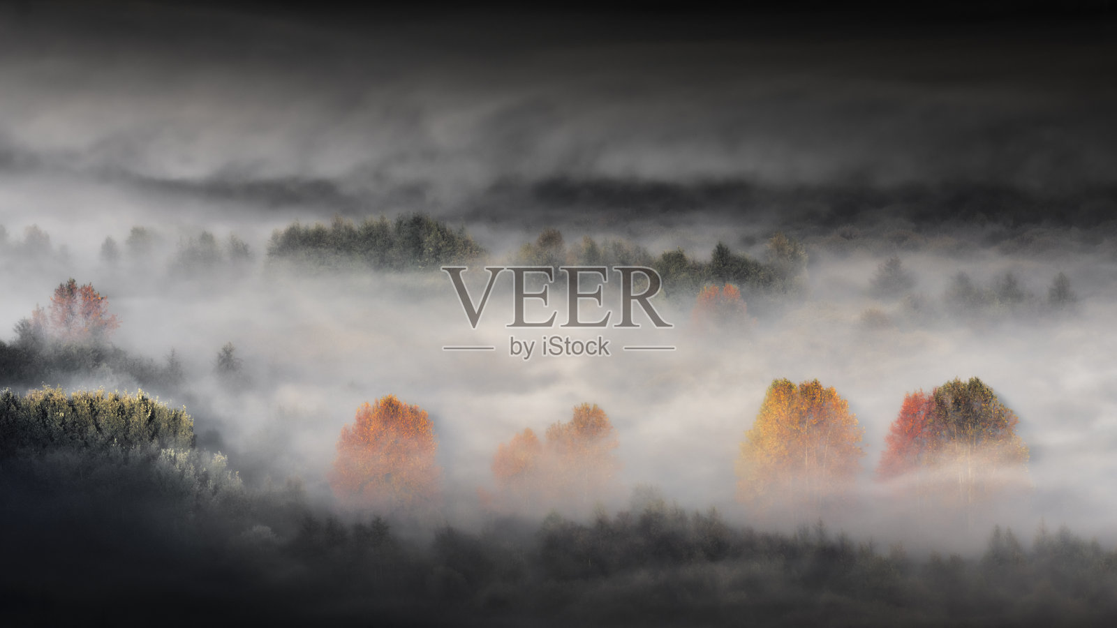 黑暗让位给黎明,秋天的风景与雾照片摄影图片