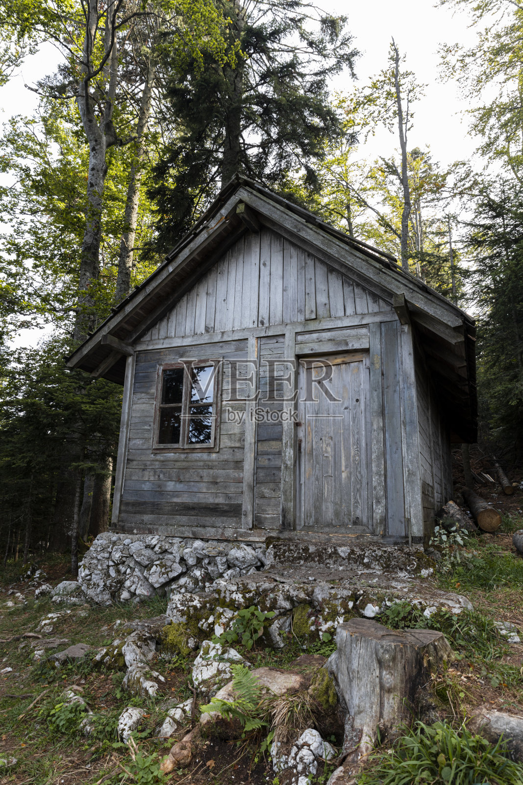 塞尔维亚塔拉山树林里的小木屋照片摄影图片