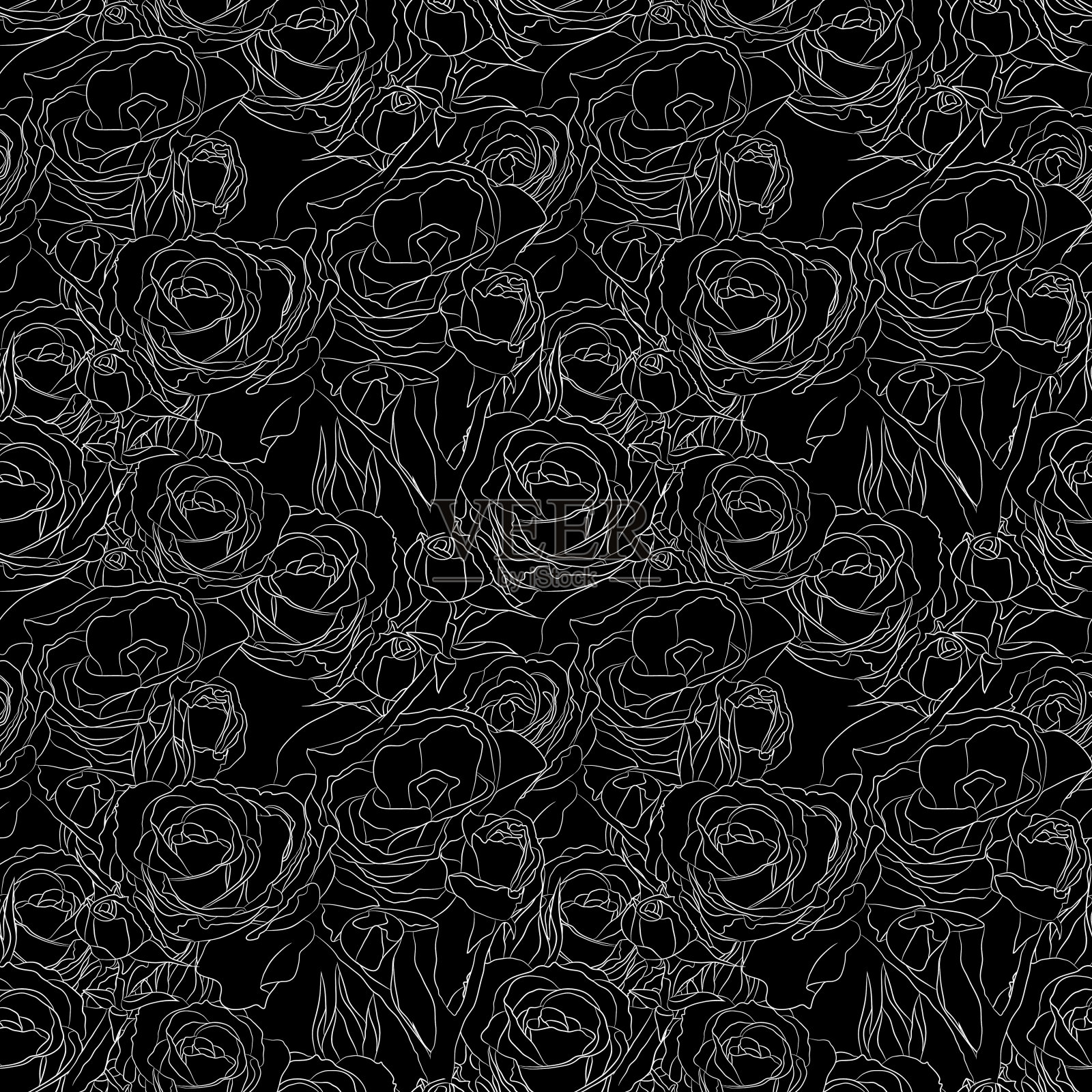 无缝模式与白色轮廓的玫瑰花在黑色的背景插画图片素材