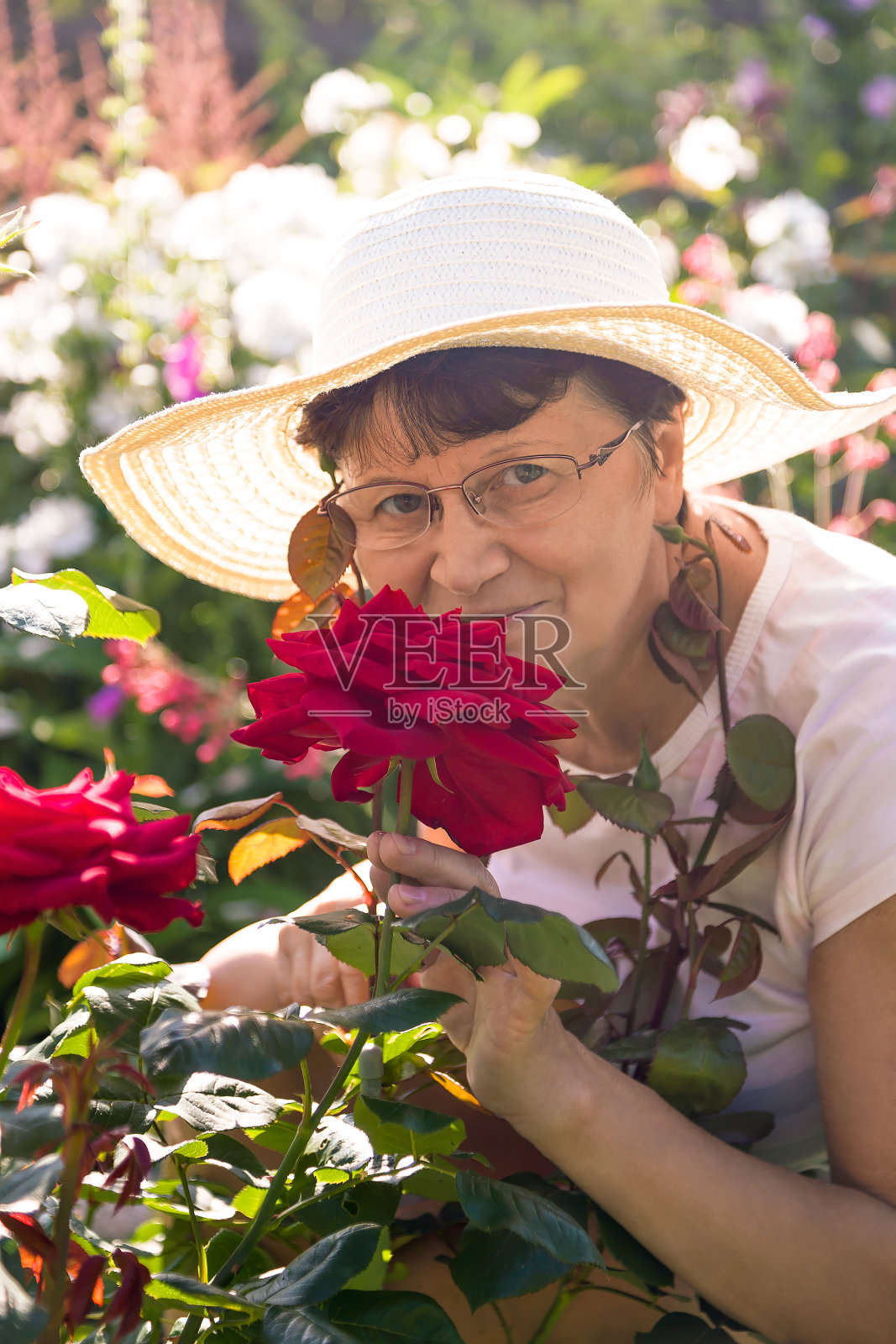 积极微笑的妇女闻到美丽的红色玫瑰在一个夏天的花园照片摄影图片