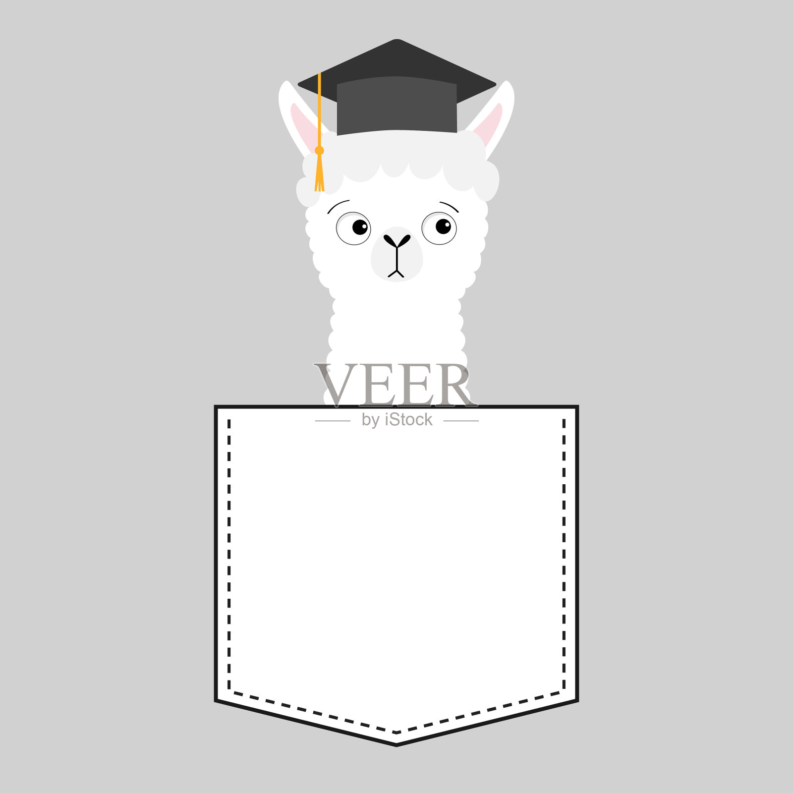 羊驼坐在口袋里,羊驼的脸跟在一起插画图片素材