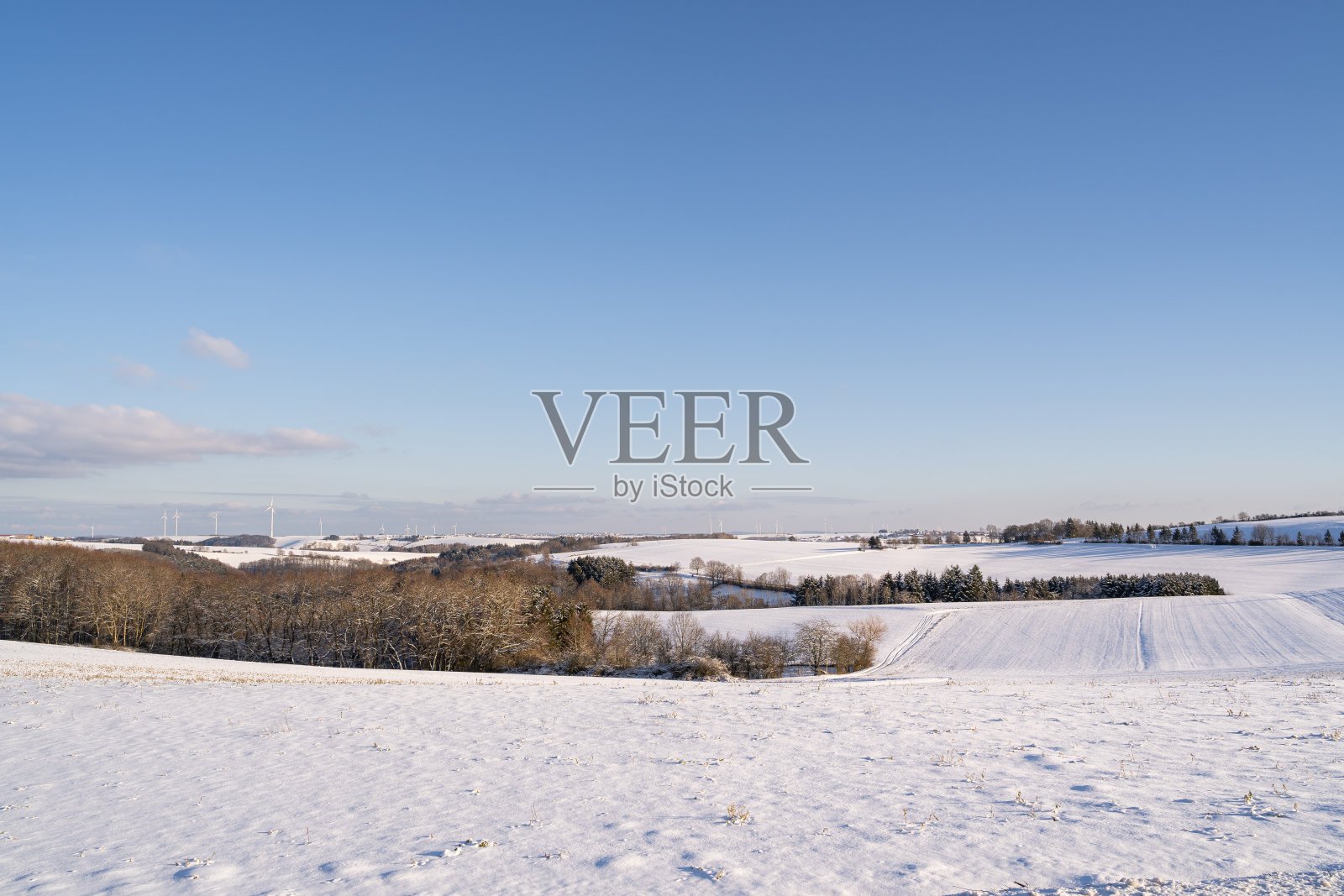 雪地里的森林和田野照片摄影图片