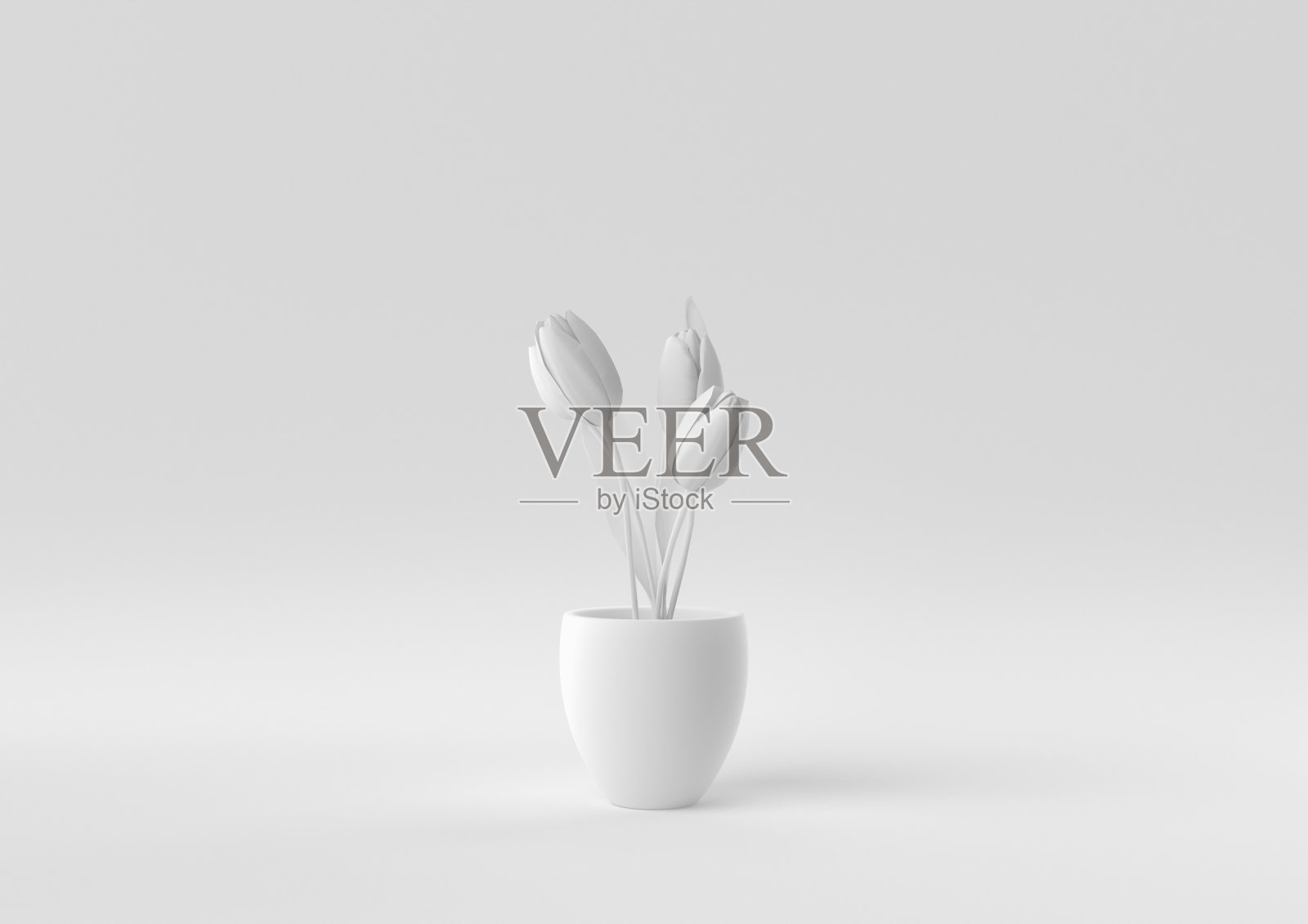 白色的树花盆在白色的背景。最小概念创意。单色。3 d渲染。照片摄影图片