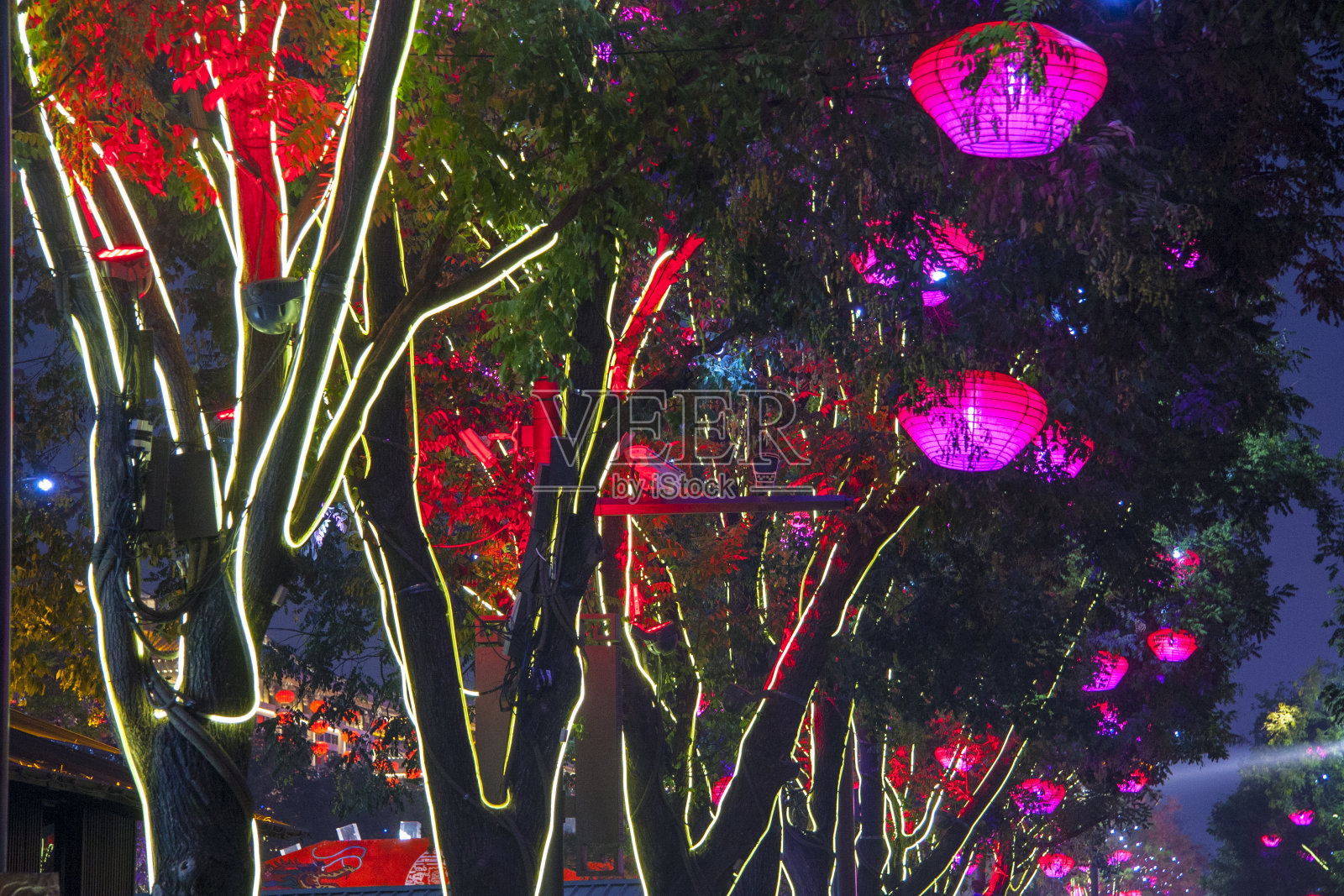 树灯照片摄影图片