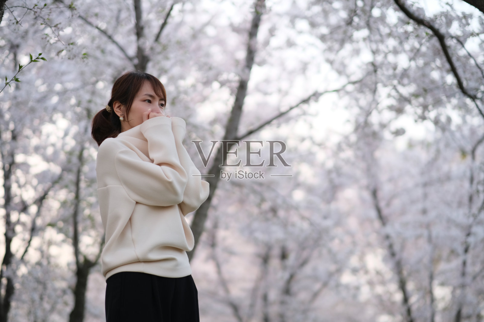 时尚的亚洲年轻女子在白色樱花树照片摄影图片