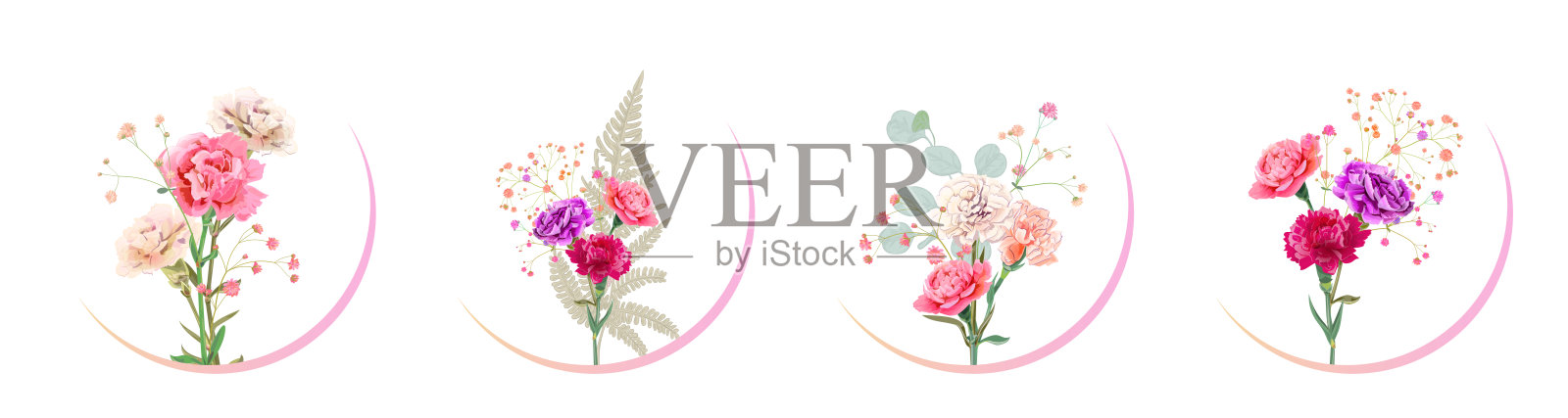 母亲节圆圆的,胜利日卡片上有康乃馨:红色、粉色、鲜花、亲石膏花、白色背景。设计模板,复古植物插画水彩风格,矢量插画图片素材