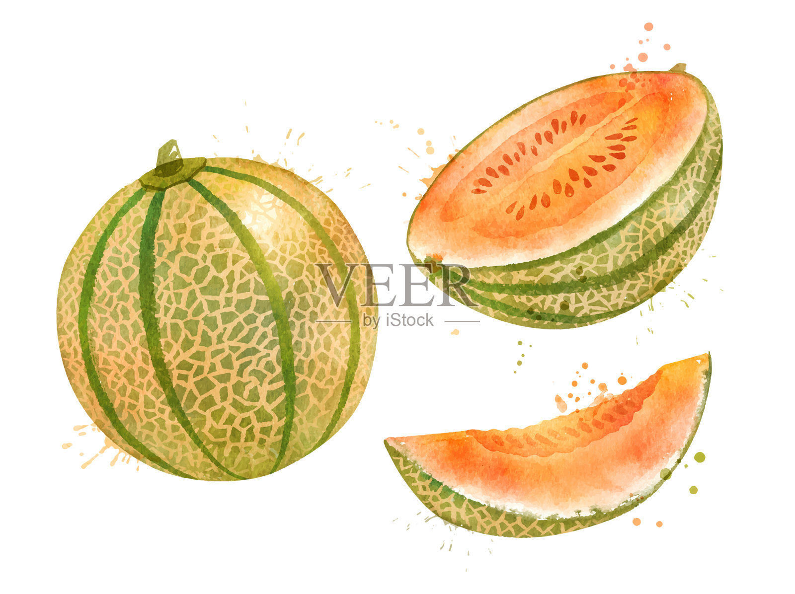 水彩西瓜哈密瓜设计元素图片
