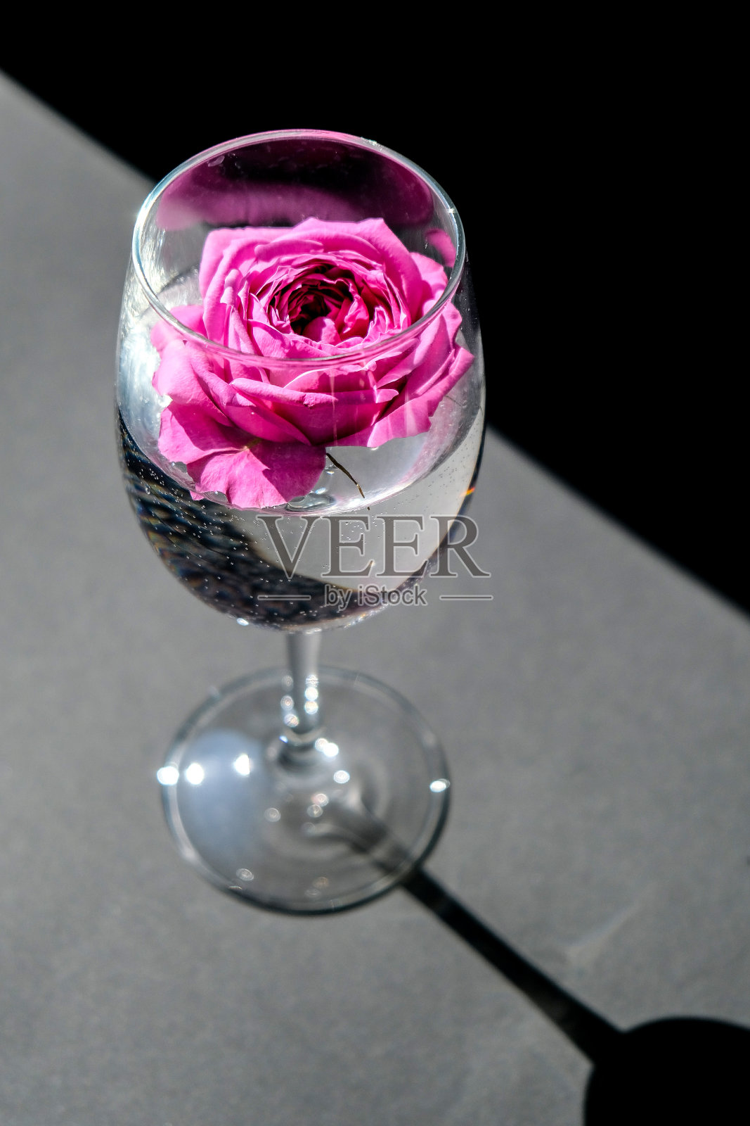 酒杯里装满粉红色的花瓣,桌子上装满黑色的花瓣。极简现代静物画。节日概念情人节或妇女节的背景设计照片摄影图片