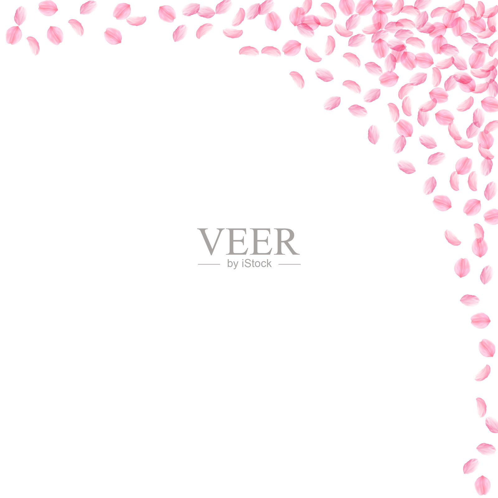 樱花花瓣飘落浪漫的粉红色丝sm插画图片素材