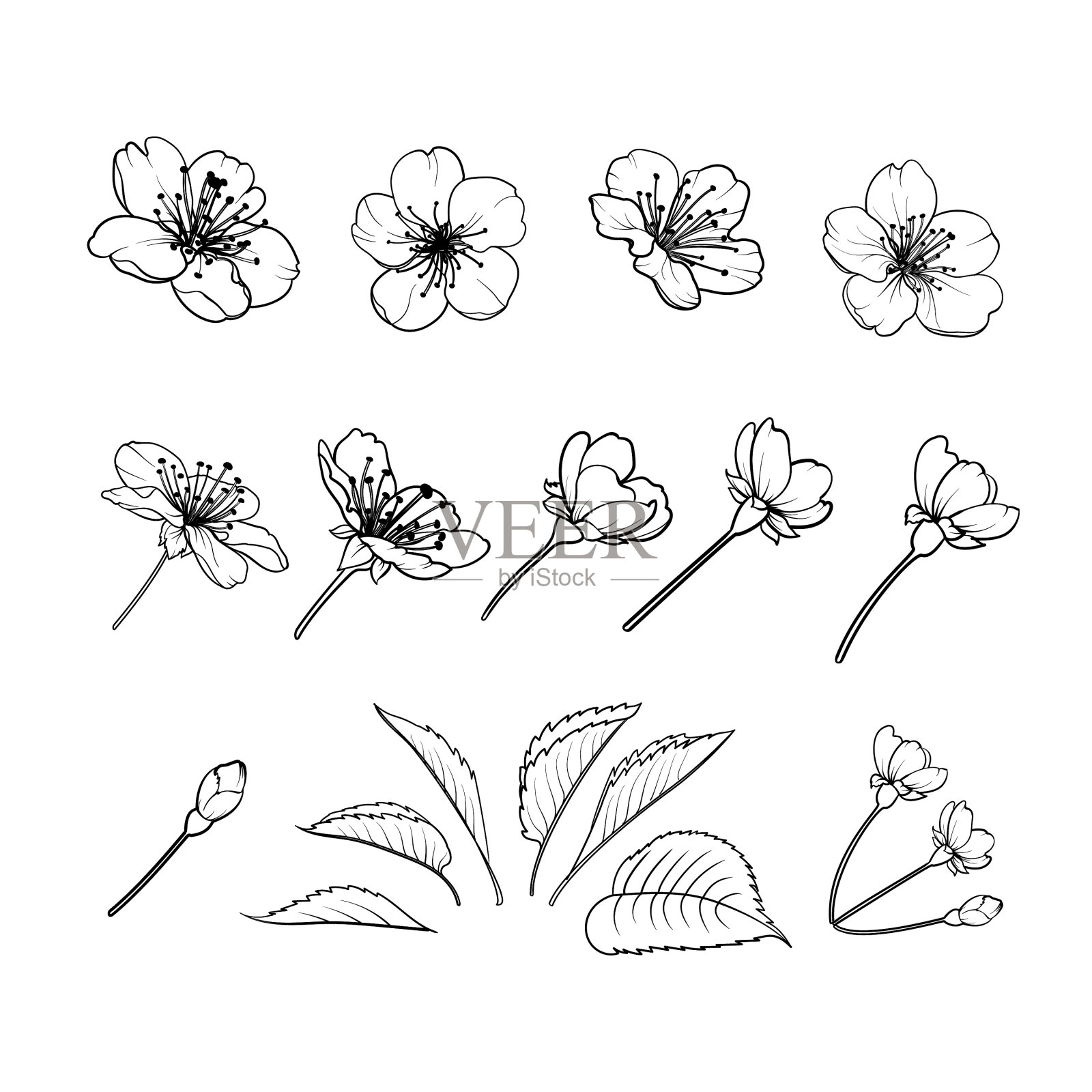 手绘设计元素樱花插画图片素材