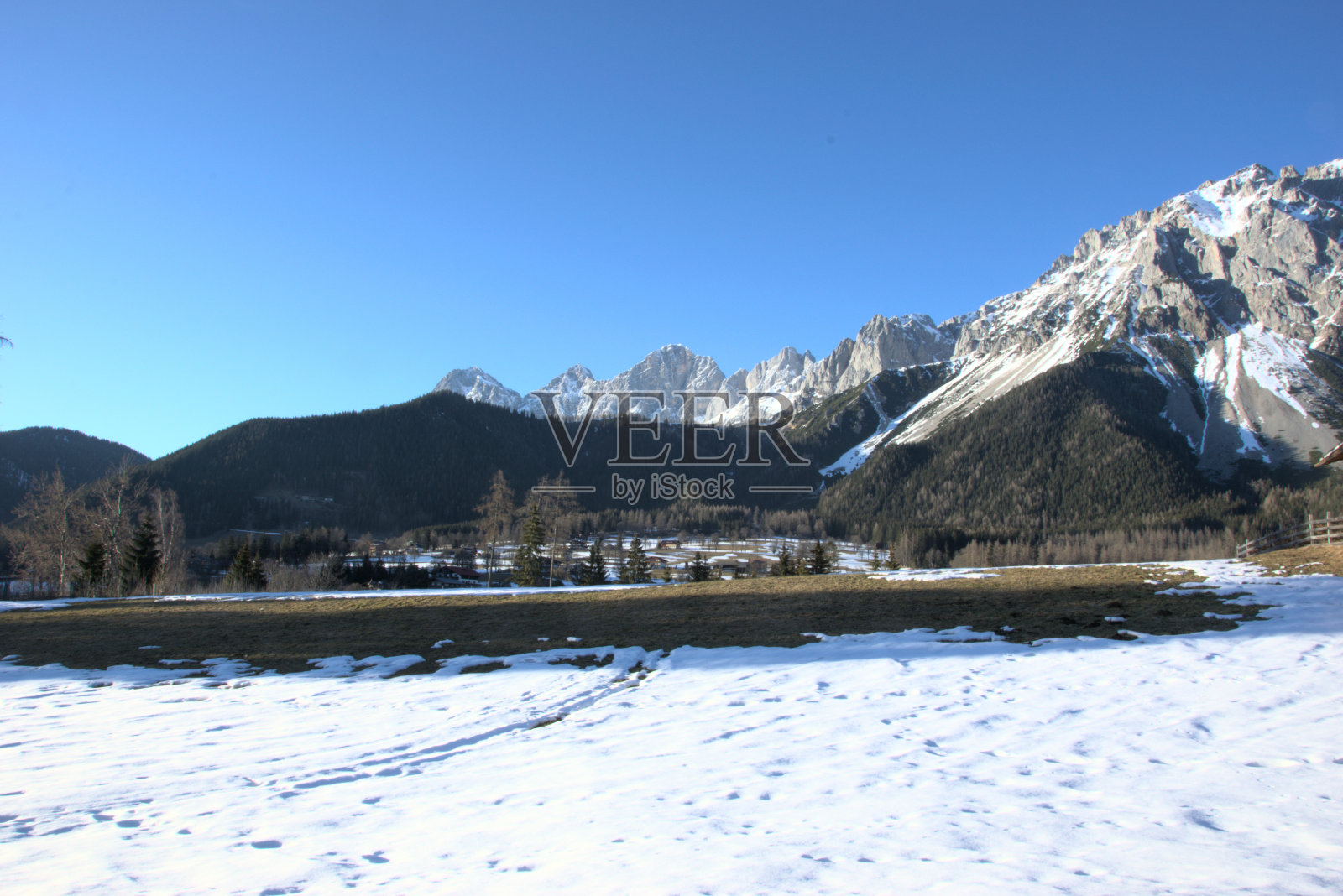 雪山景观与森林照片摄影图片