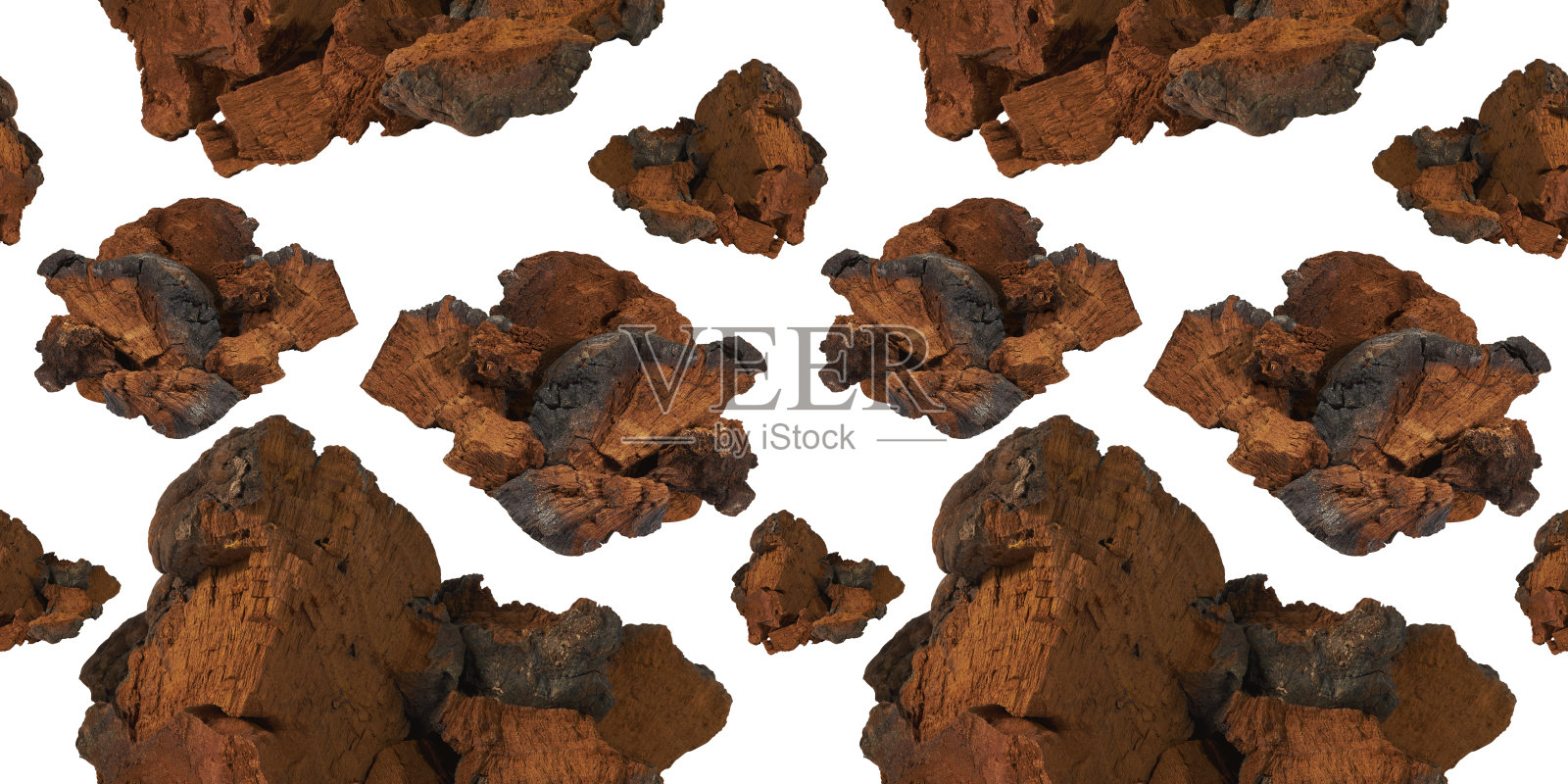 无缝模式的自然查加蘑菇片上的白色背景。照片摄影图片