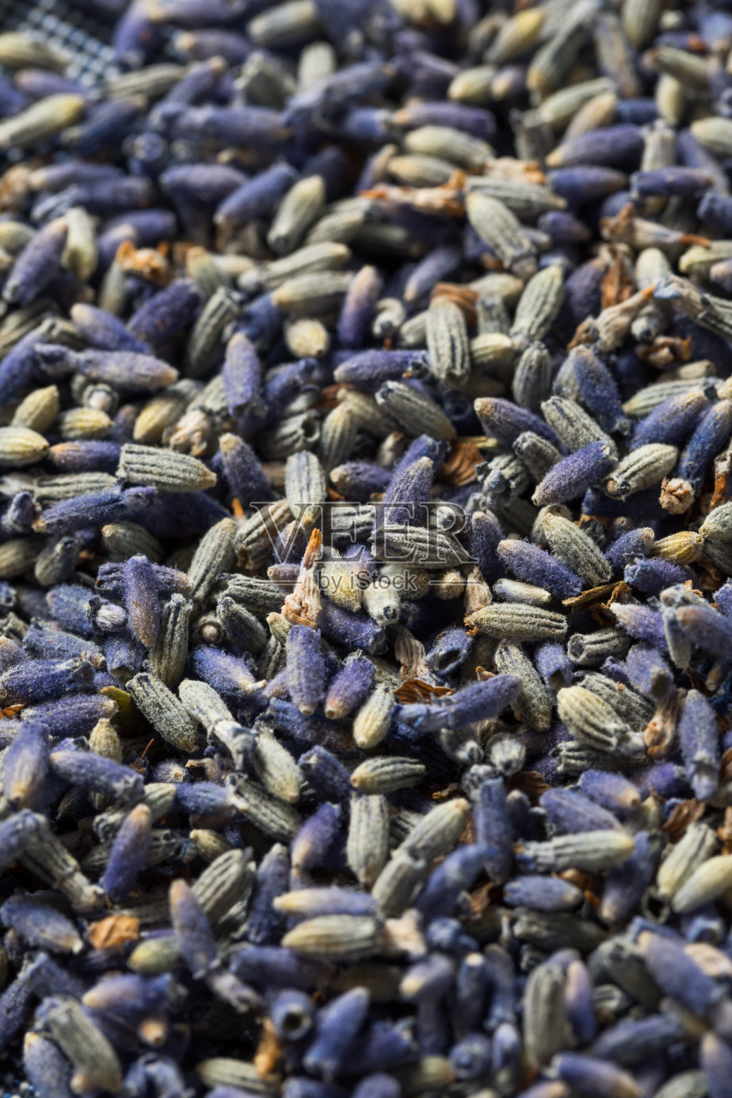 自制紫薰衣草药草照片摄影图片