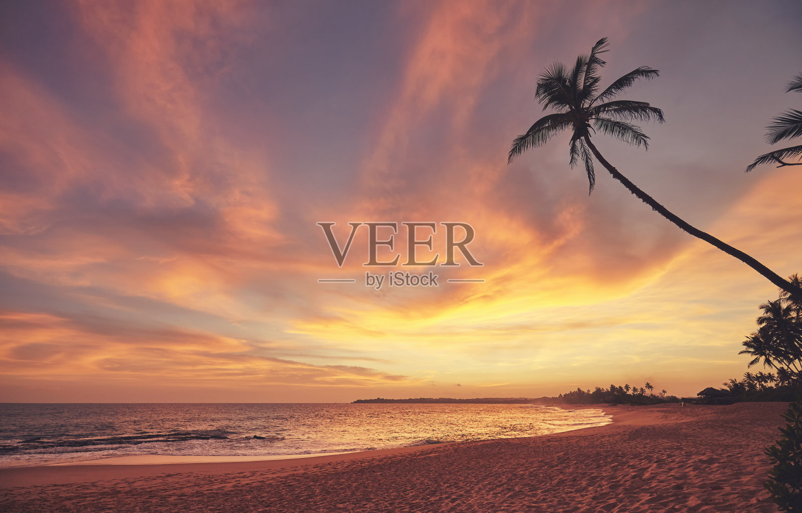 斯里兰卡,热带海滩上美丽多彩的日落。照片摄影图片