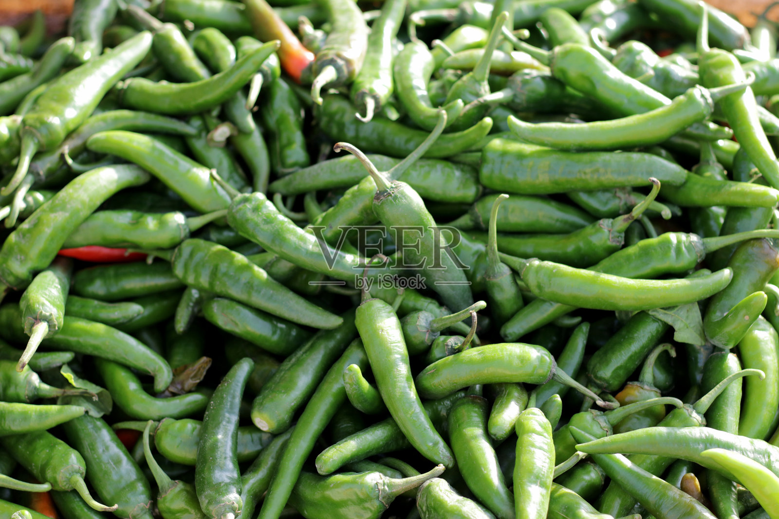 新鲜蔬菜照片摄影图片