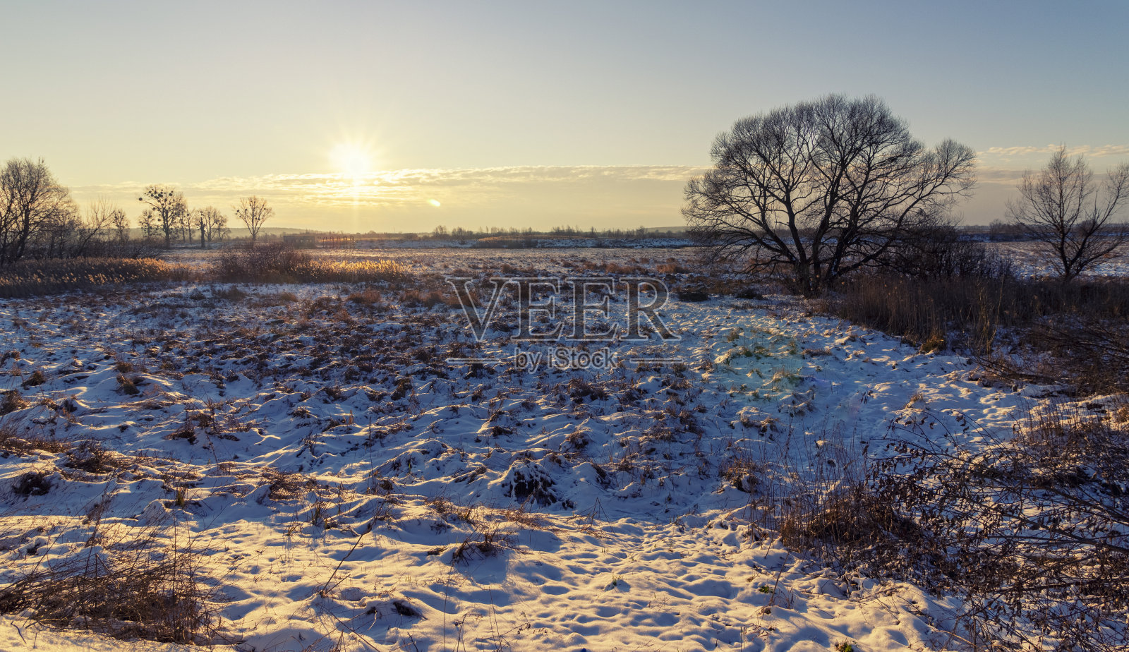 美丽的冬日清晨雪景照片摄影图片