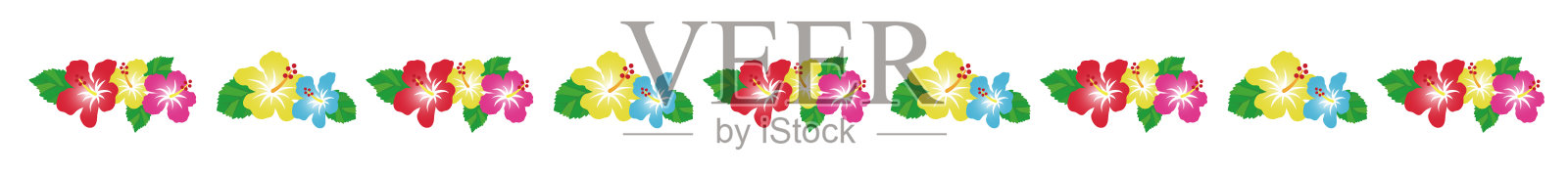 热带花木槿装饰。有间隙的线,分隔线插画图片素材