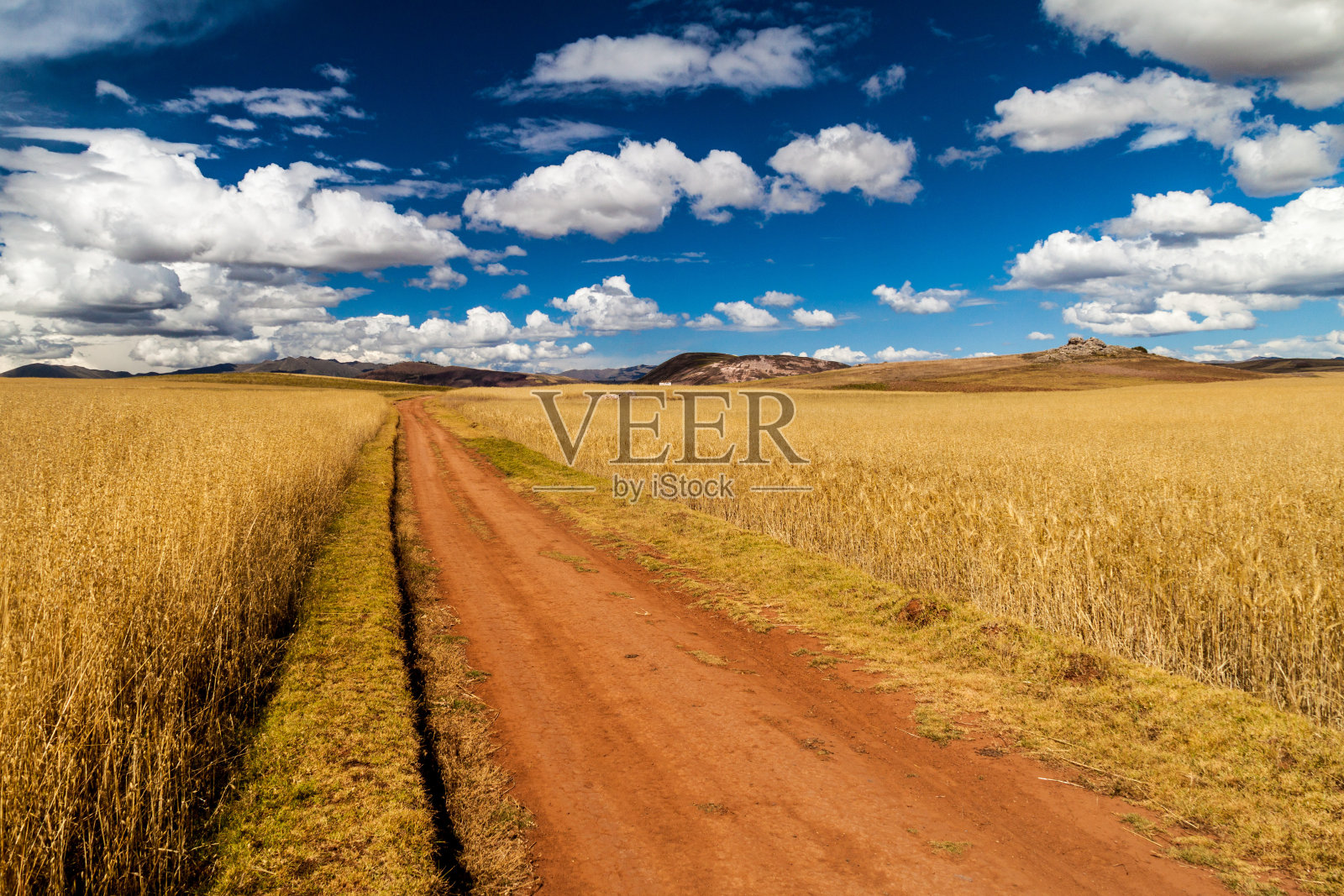 秘鲁圣谷马拉斯村附近的谷物田里的路照片摄影图片