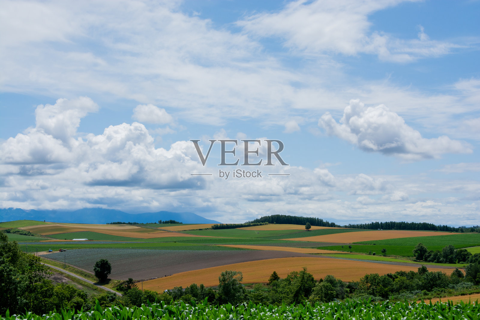 夏日的山峦,像一块块高地照片摄影图片