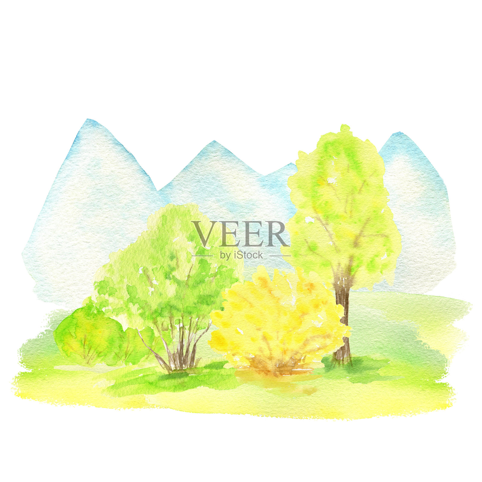 春天的景观,山,山,树木和黄色连翘灌木,绿色的自然森林景观,风景插图孤立在白色的背景插画图片素材
