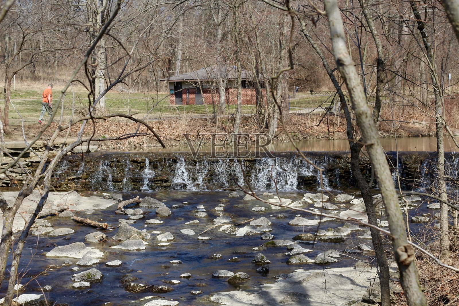 瀑布穿过光秃秃的树枝照片摄影图片
