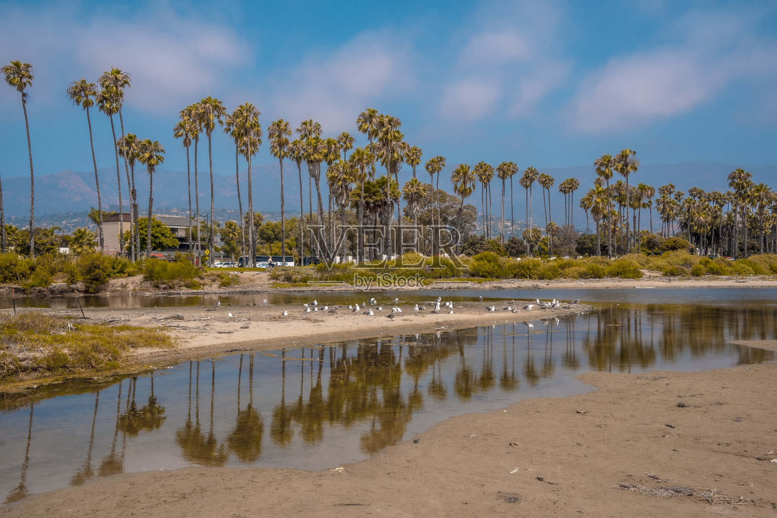 美丽的圣巴巴拉海滩在夏天和它的棕榈树,加利福尼亚。美国“t照片摄影图片