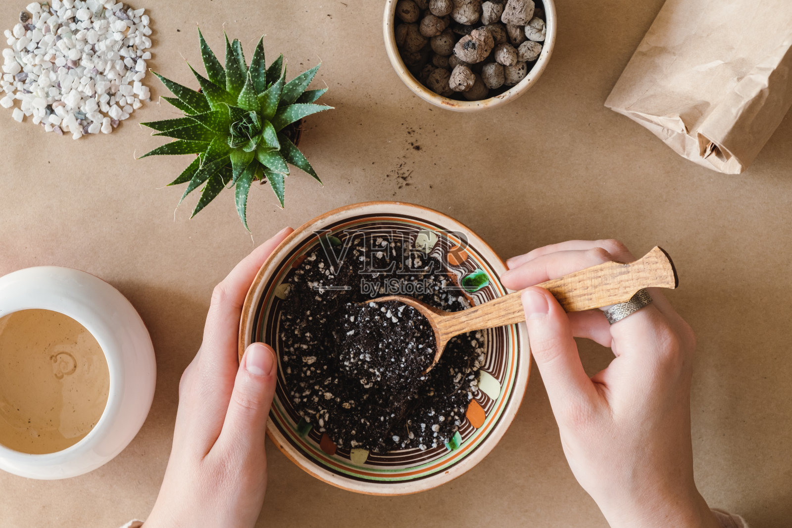 种植室内植物,家庭相关爱好。照片摄影图片