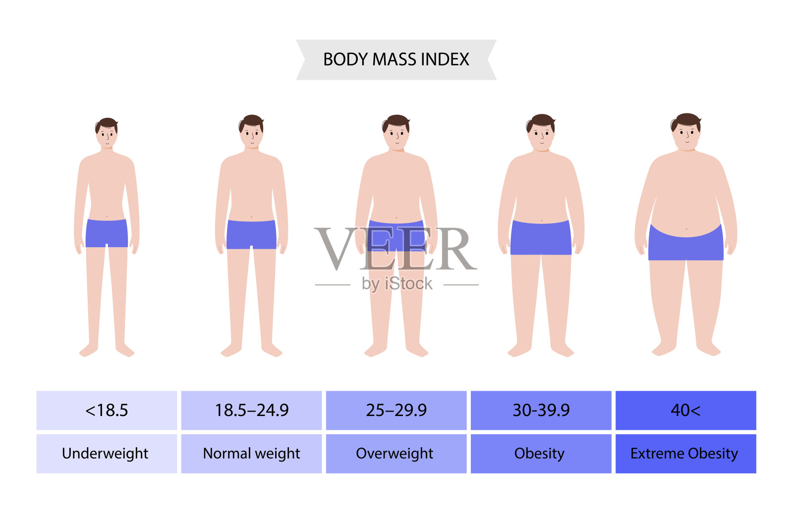 身体质量指数插画图片素材