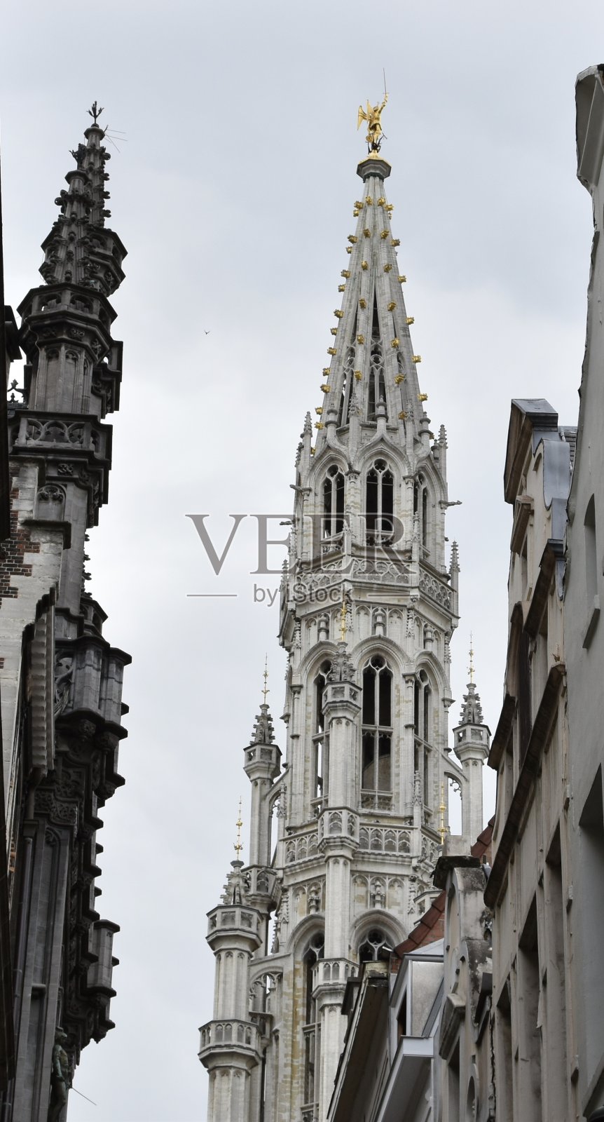 高,最高照片摄影图片