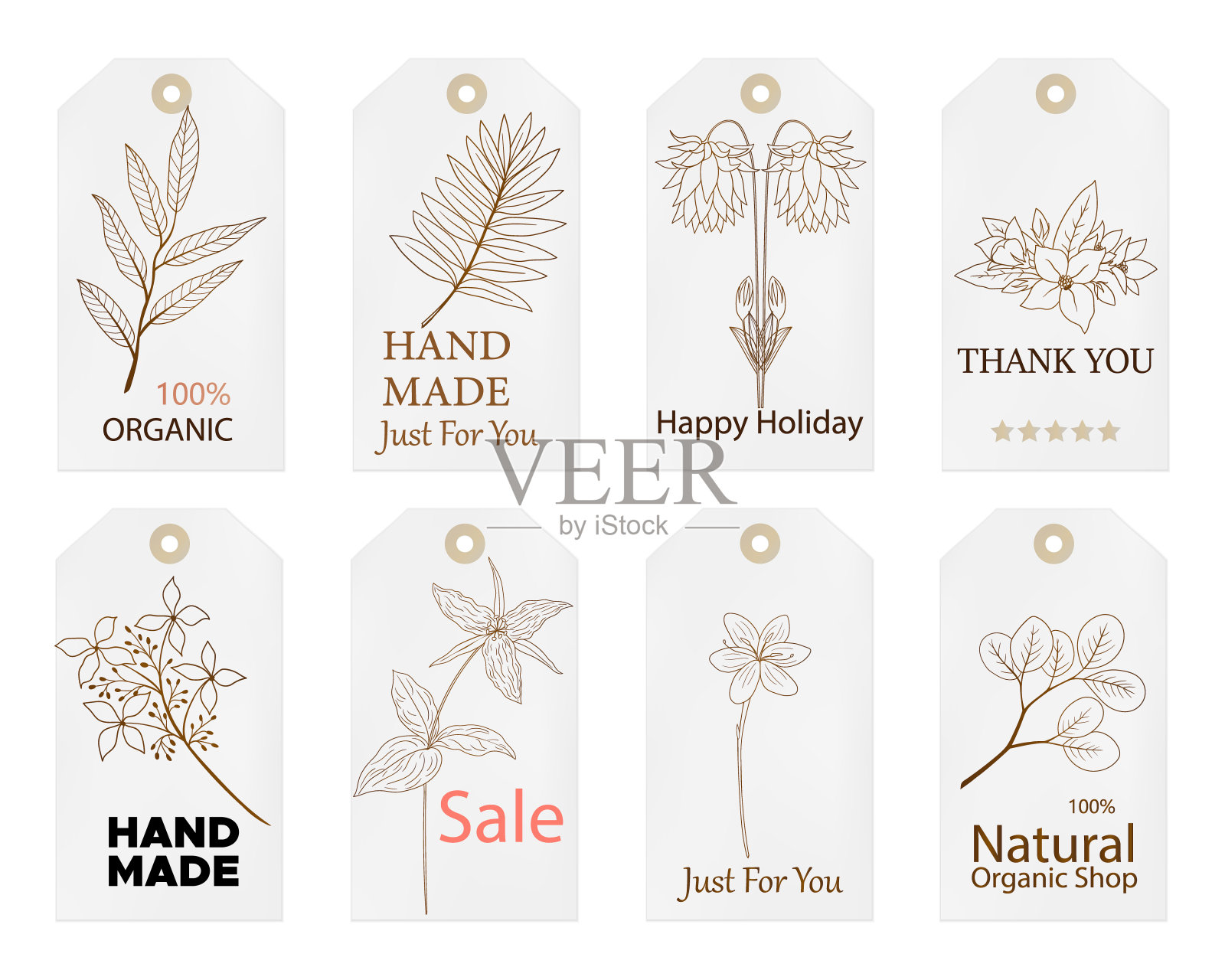 套复古标签与手画鲜花和树枝插画图片素材